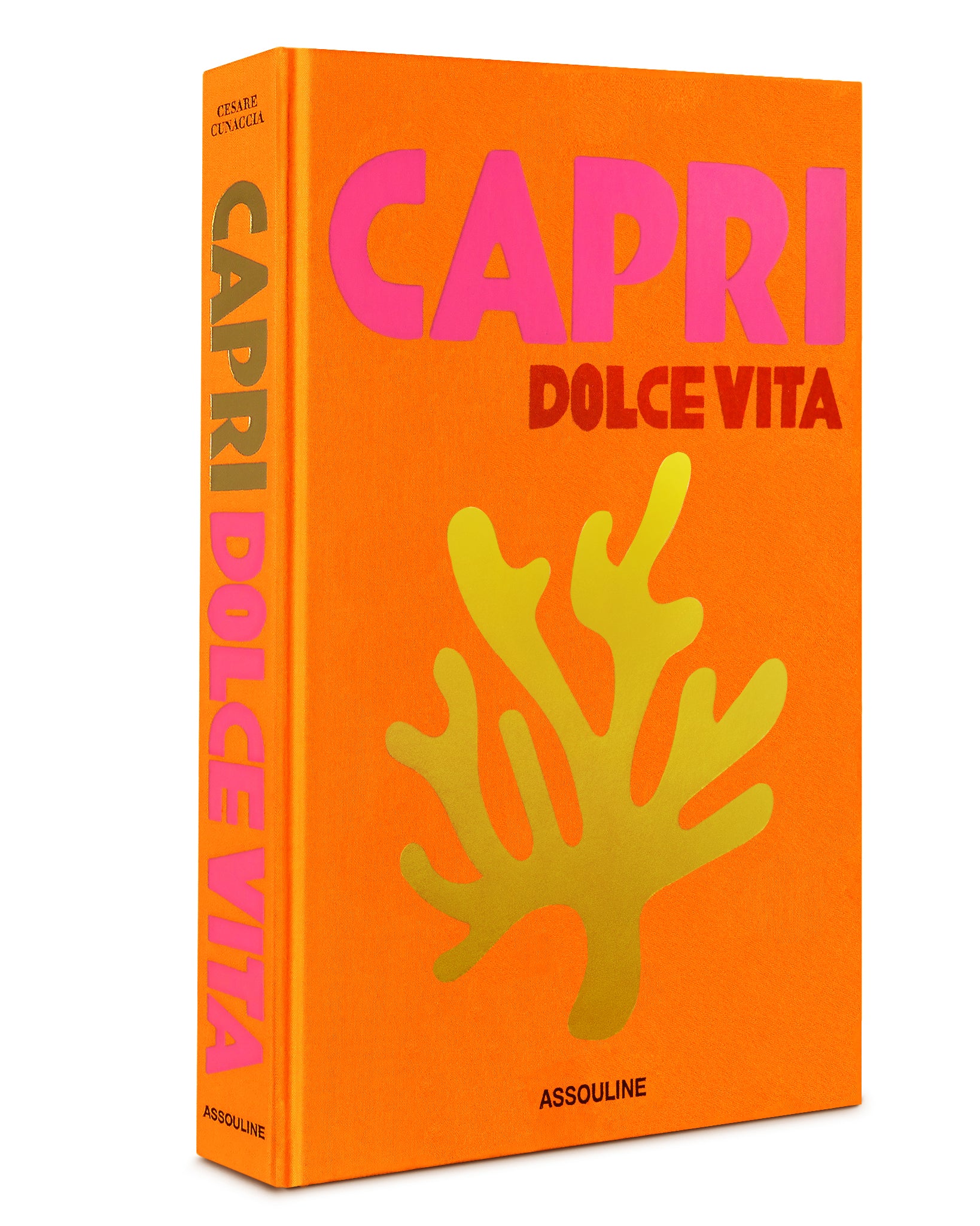 capri dolce vita - book
