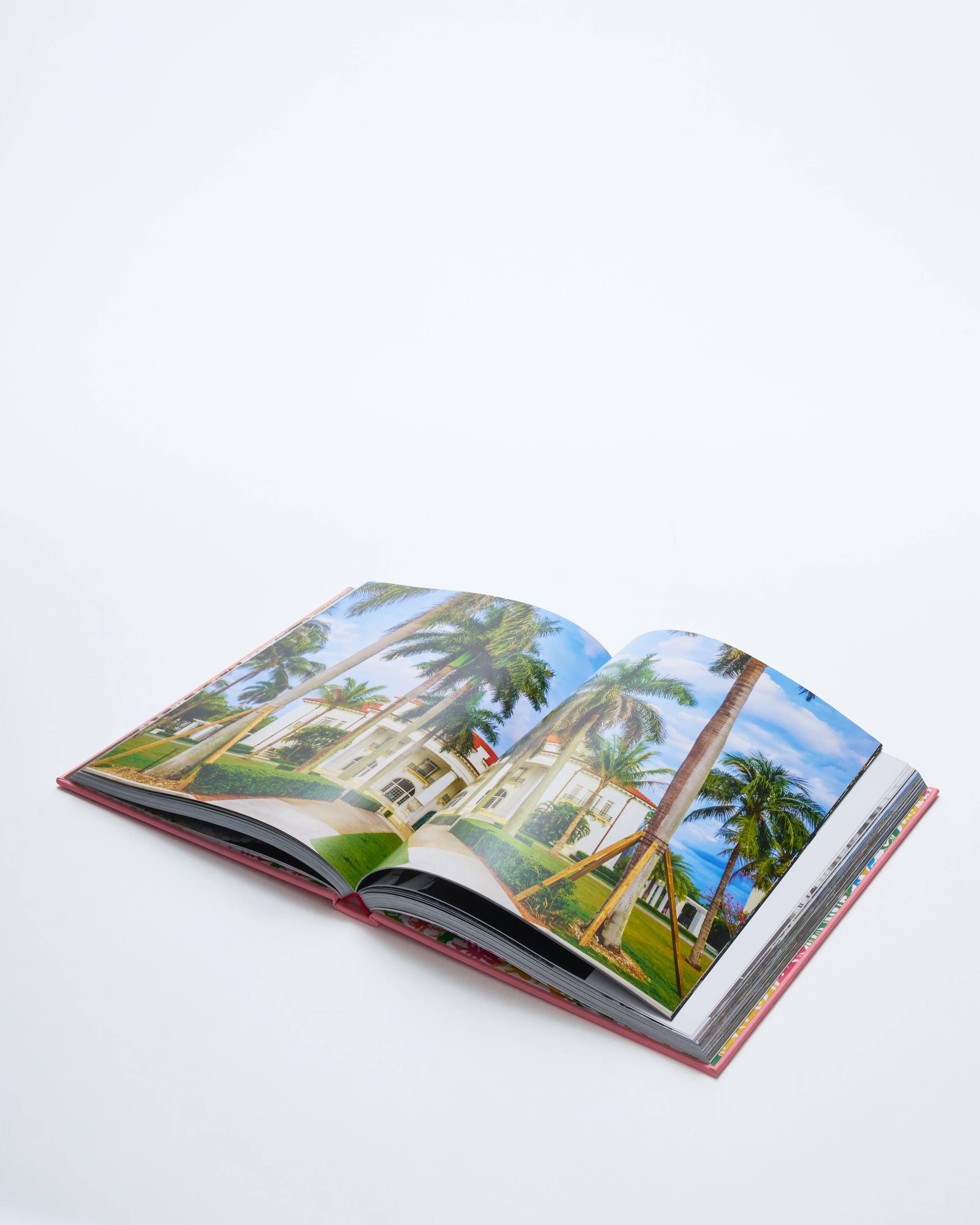 palm beach book - Image 4