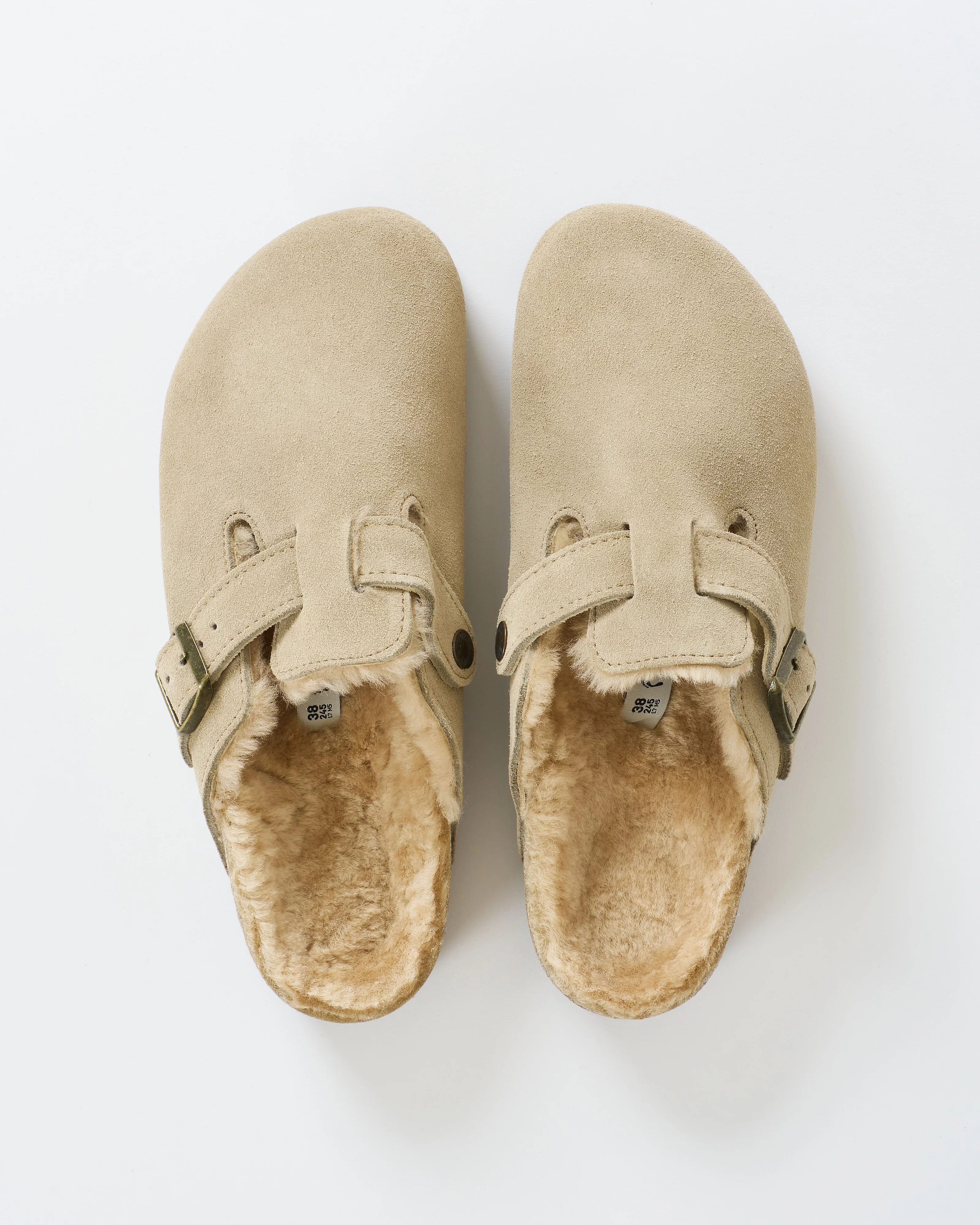 boston shearling - Image 4
