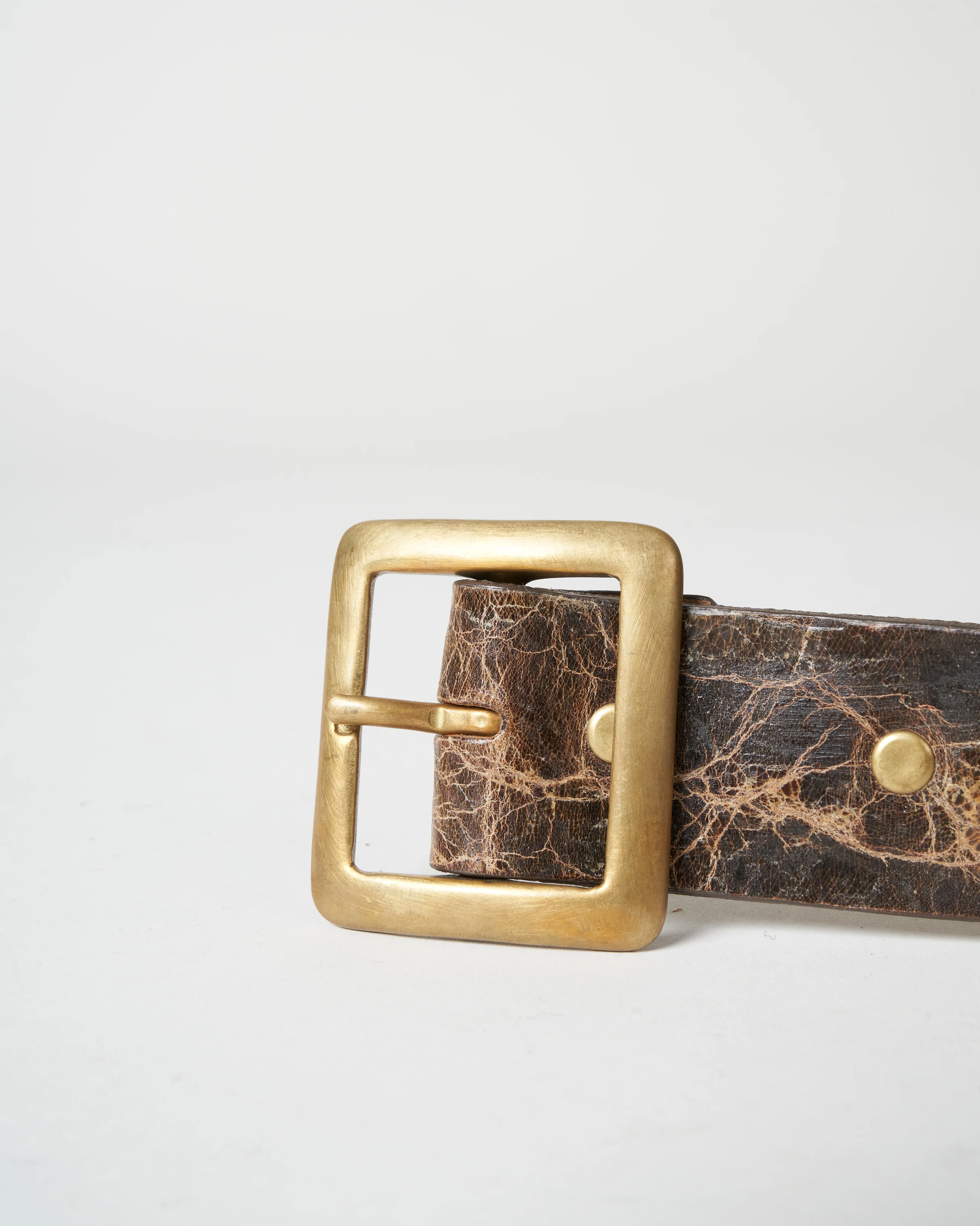hemma belt - t.morro iguana - Image 4