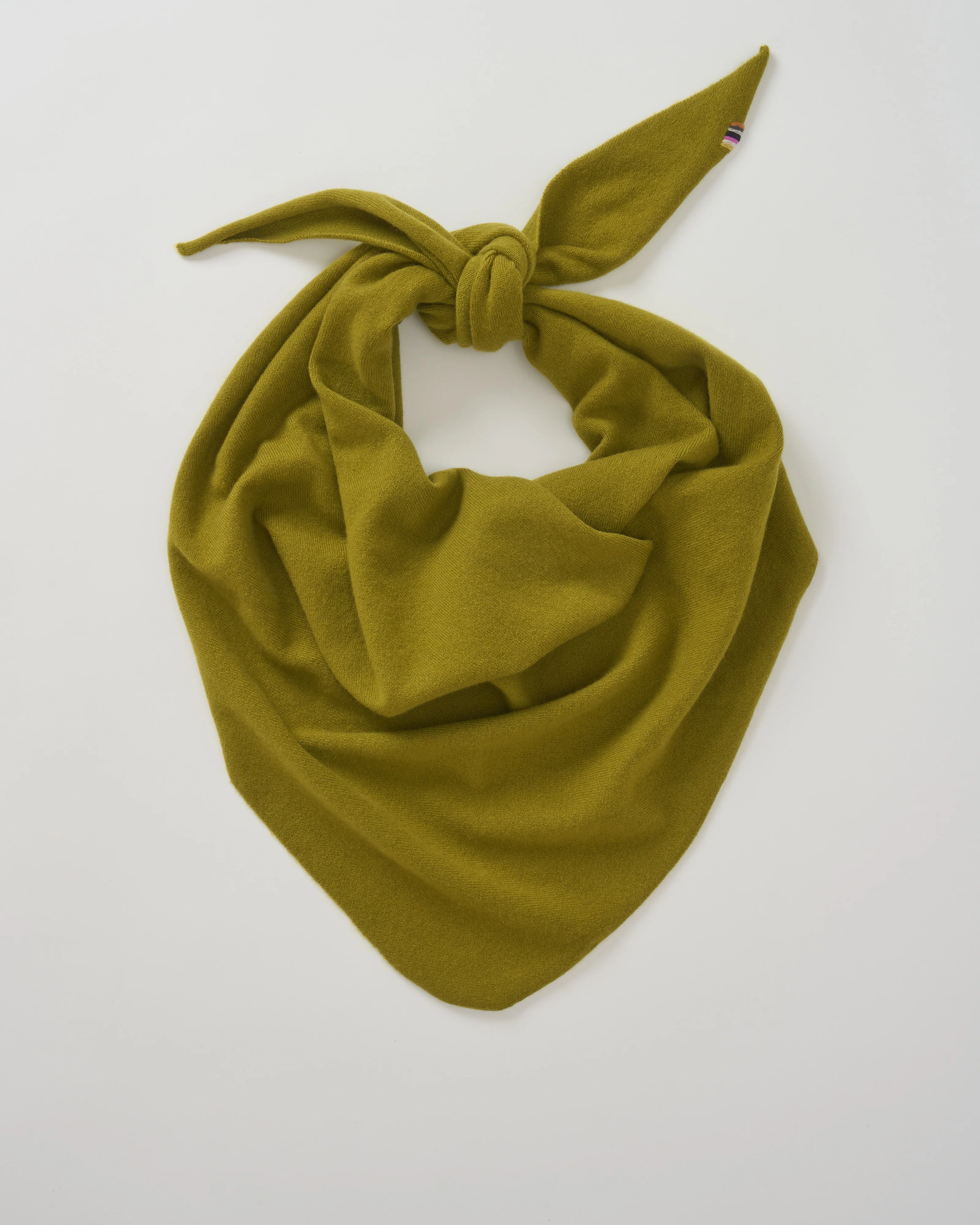 witch double-faced cashmere bandana