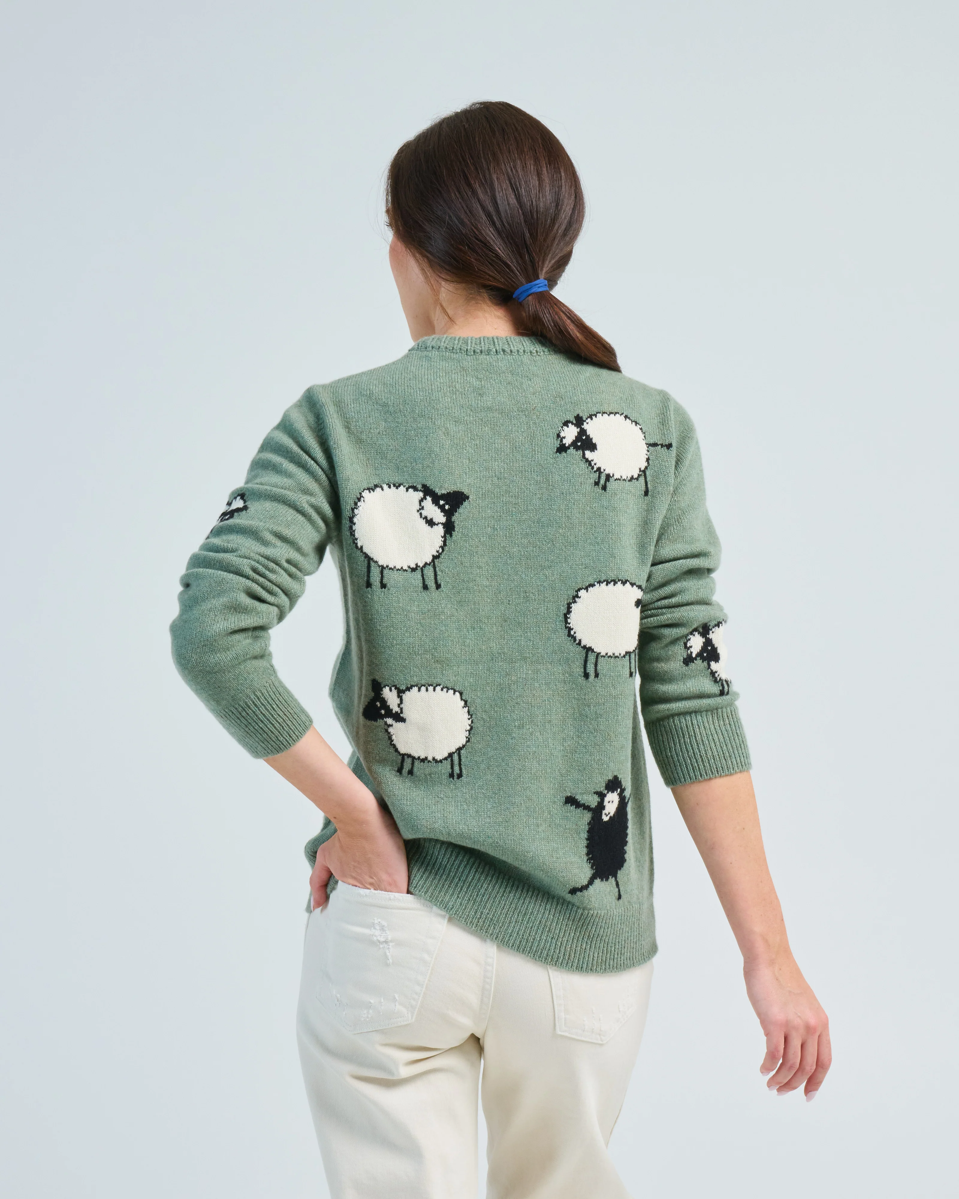 black sheep crew - Image 5
