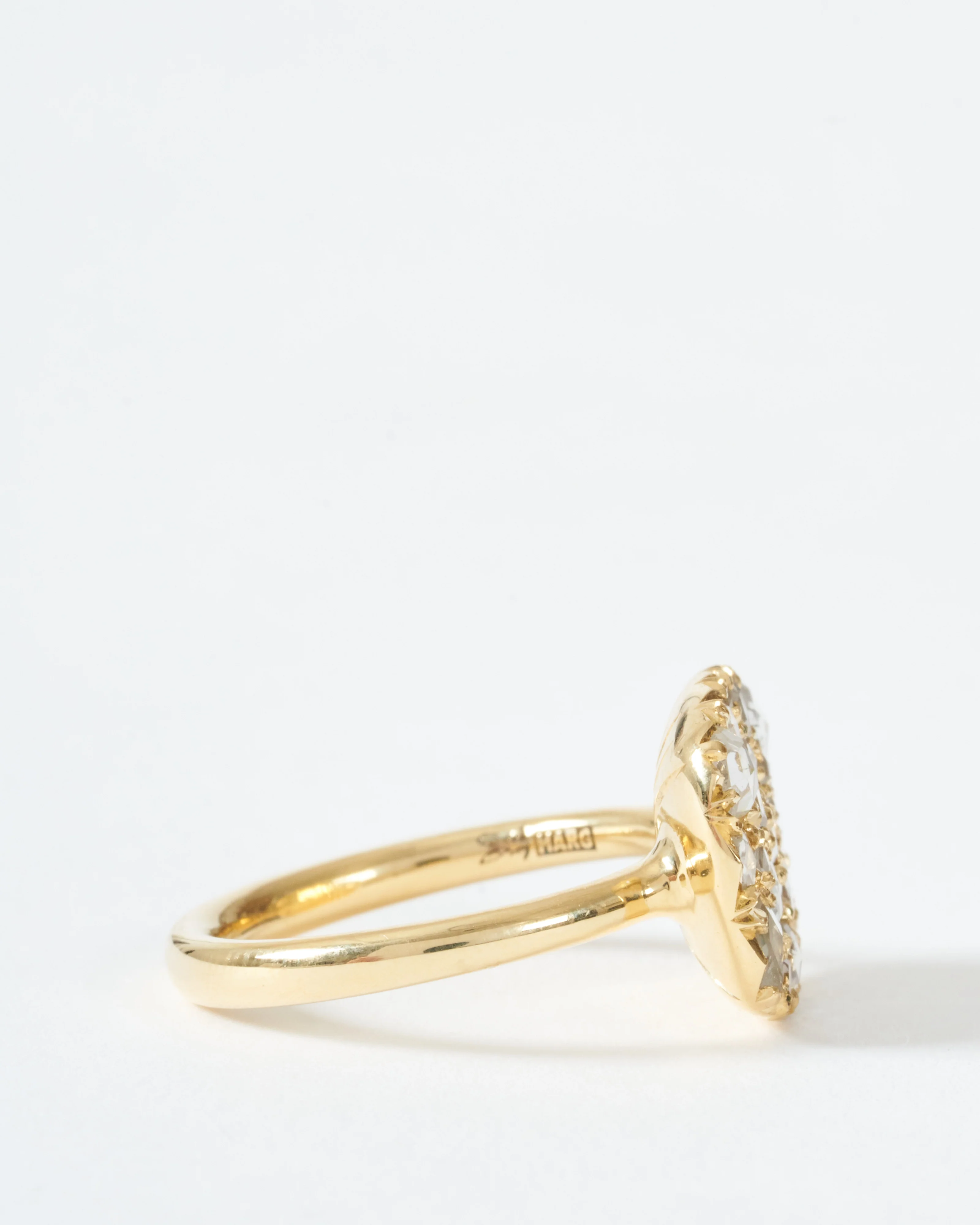 into the wild horizontal ring - Image 6