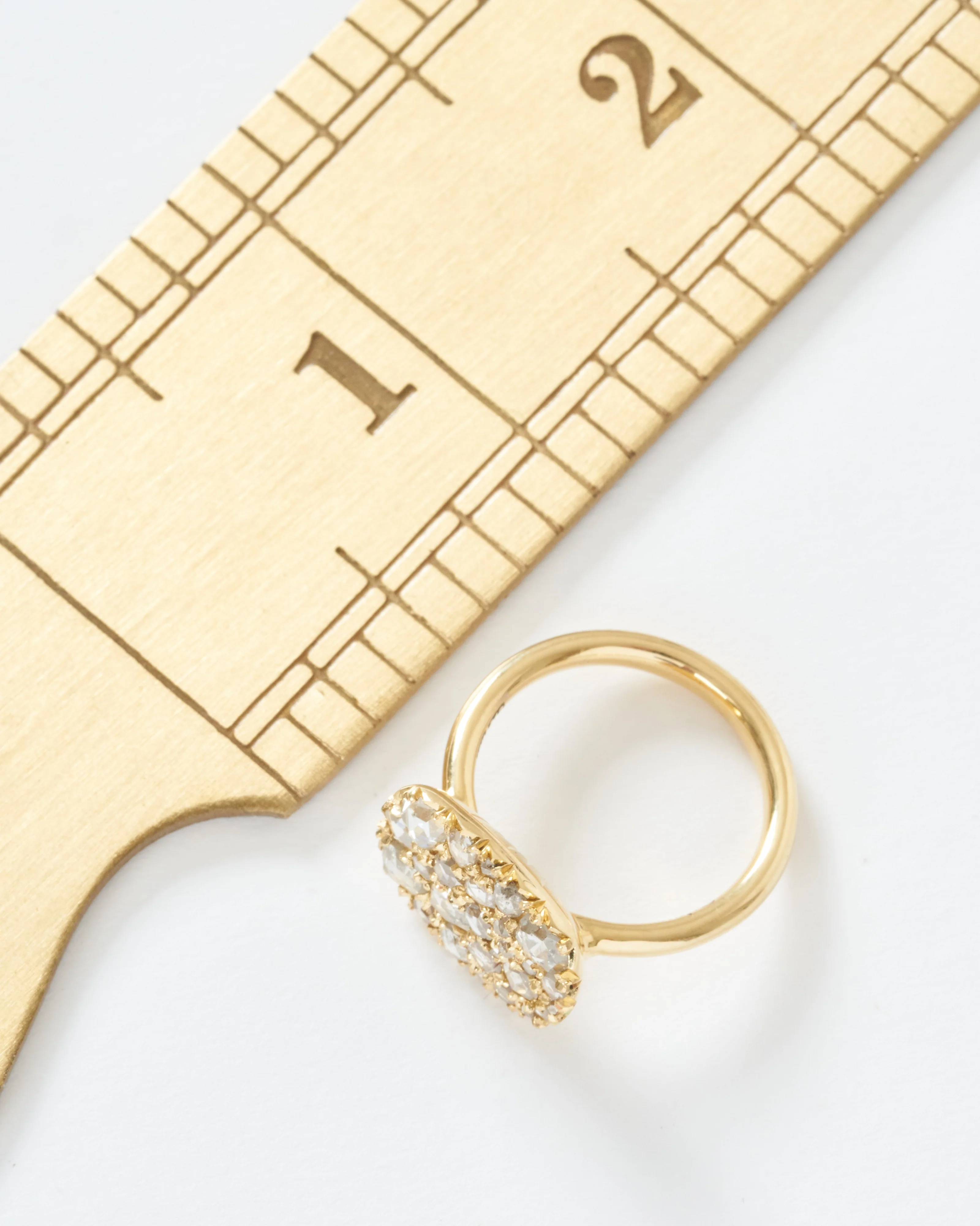 into the wild horizontal ring - Image 8
