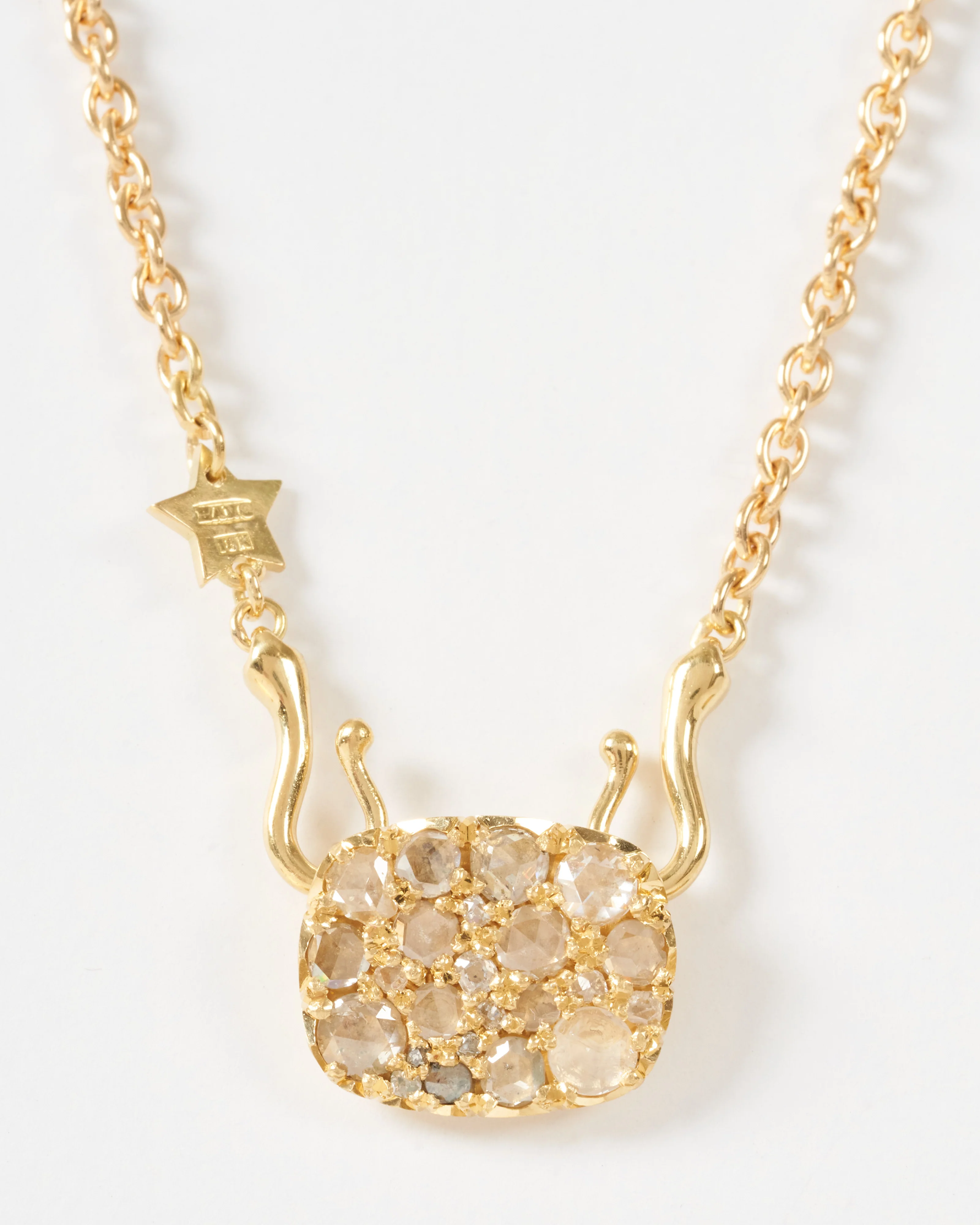 into the wild necklace - Image 4