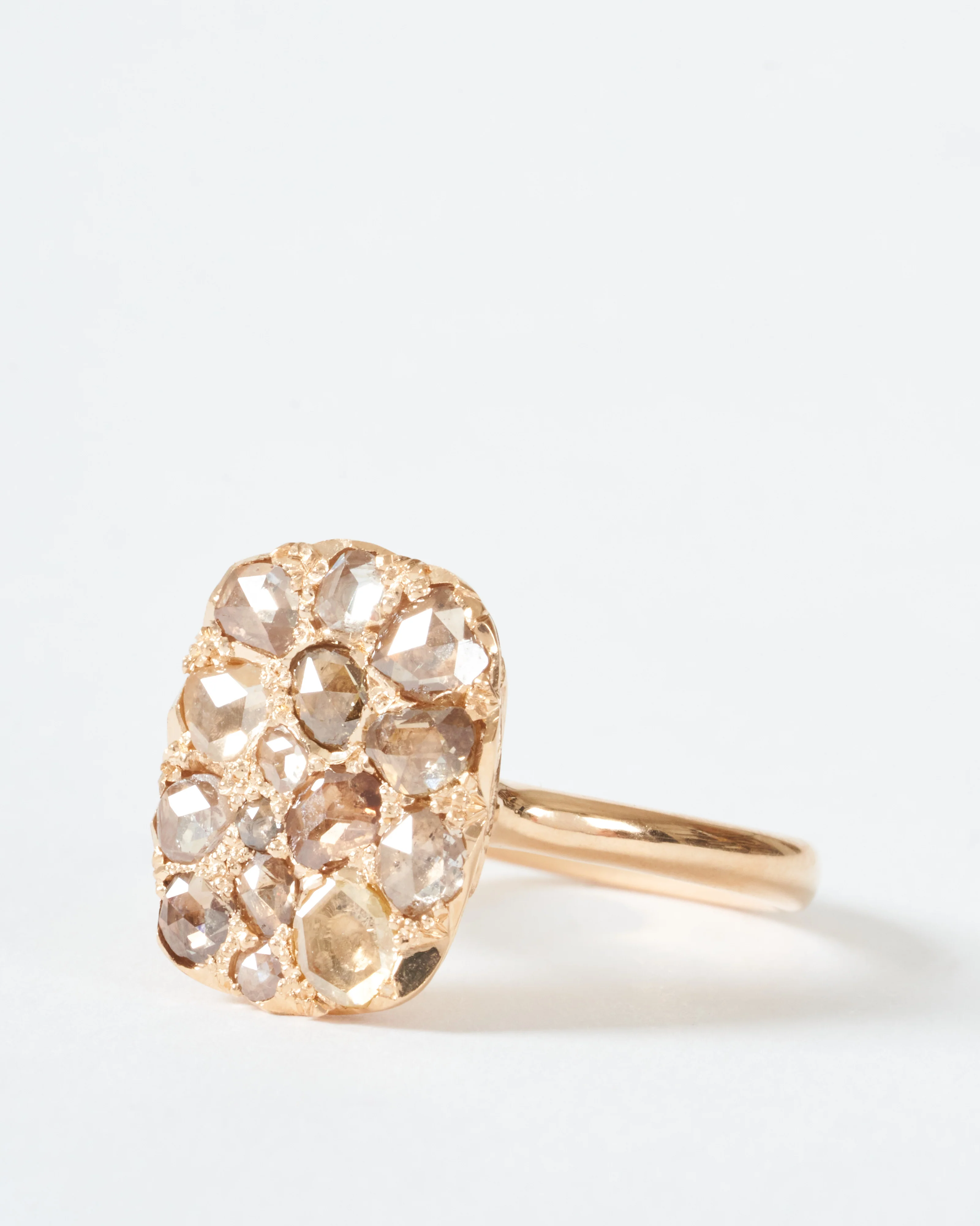 into the wild ring - Image 3