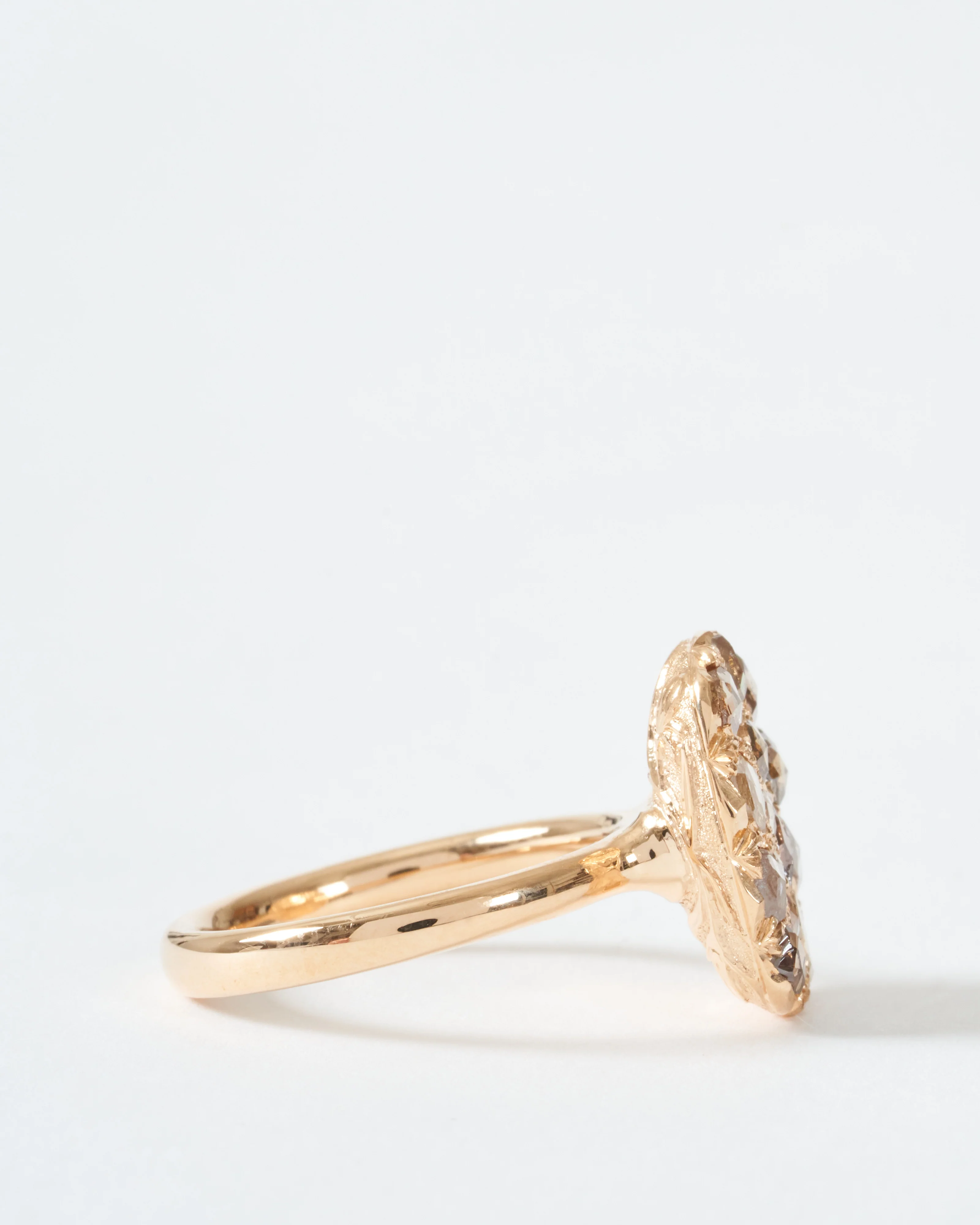 into the wild ring - Image 4