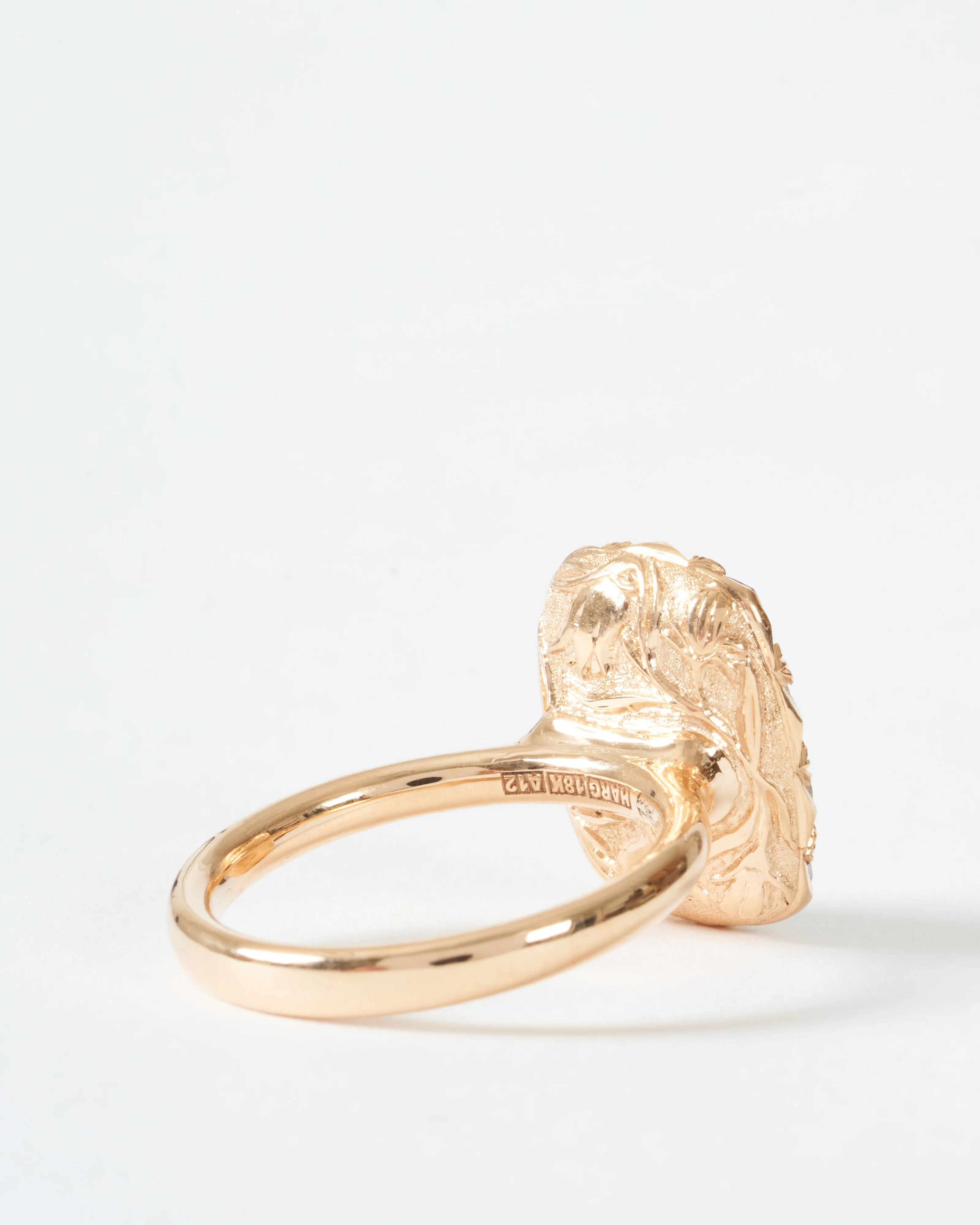 into the wild ring - Image 5