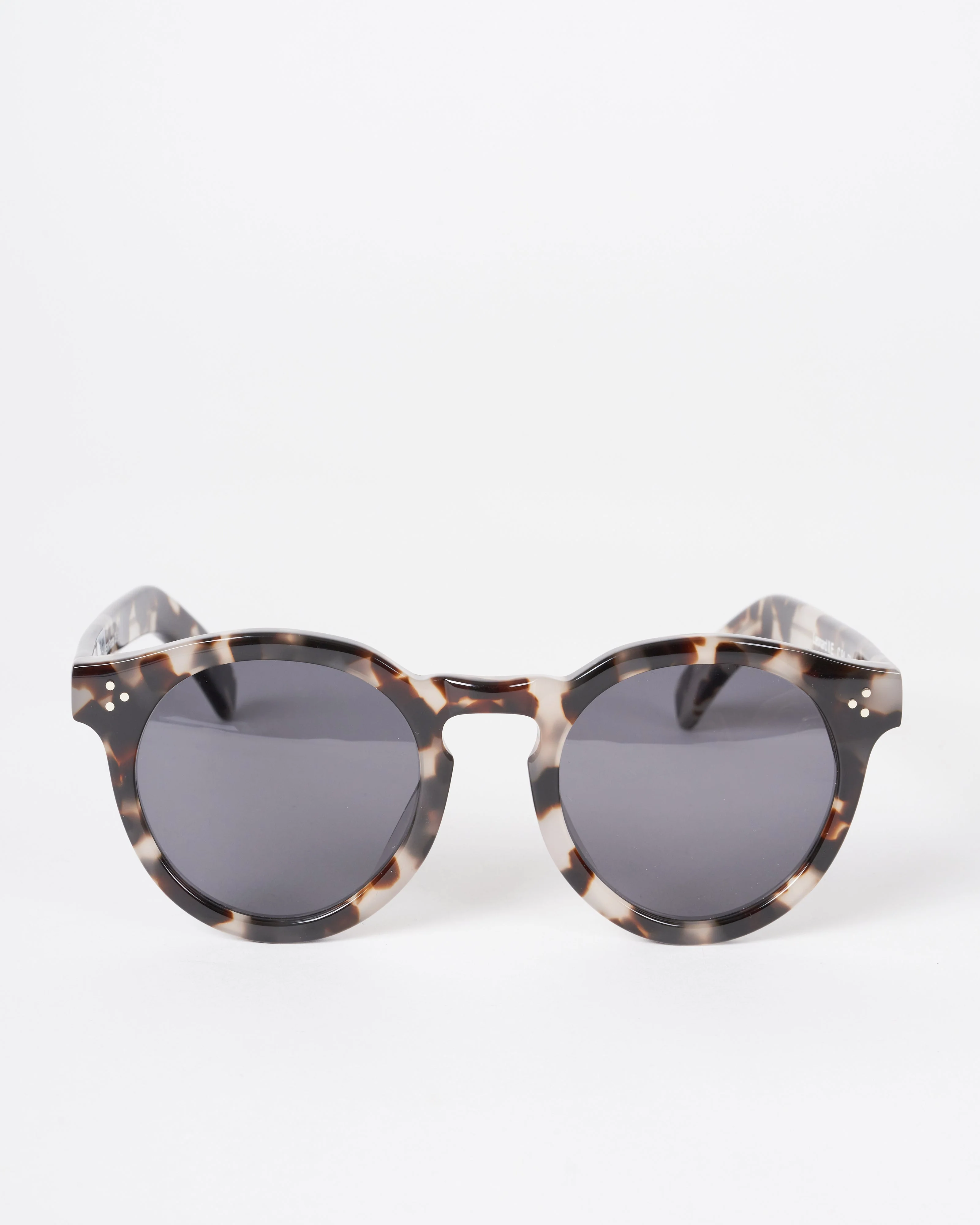 leonard - white tortoise