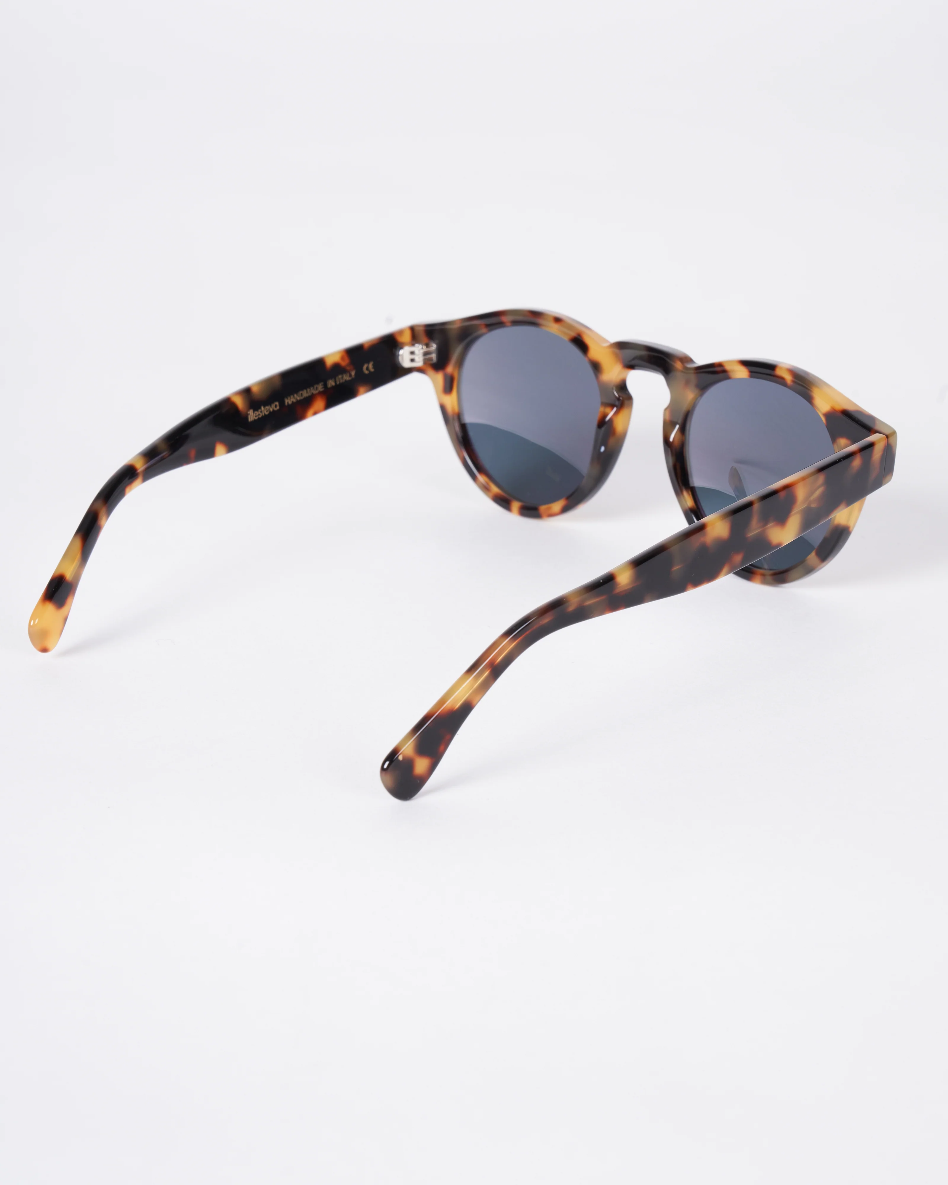 leonard - tortoise - Image 3