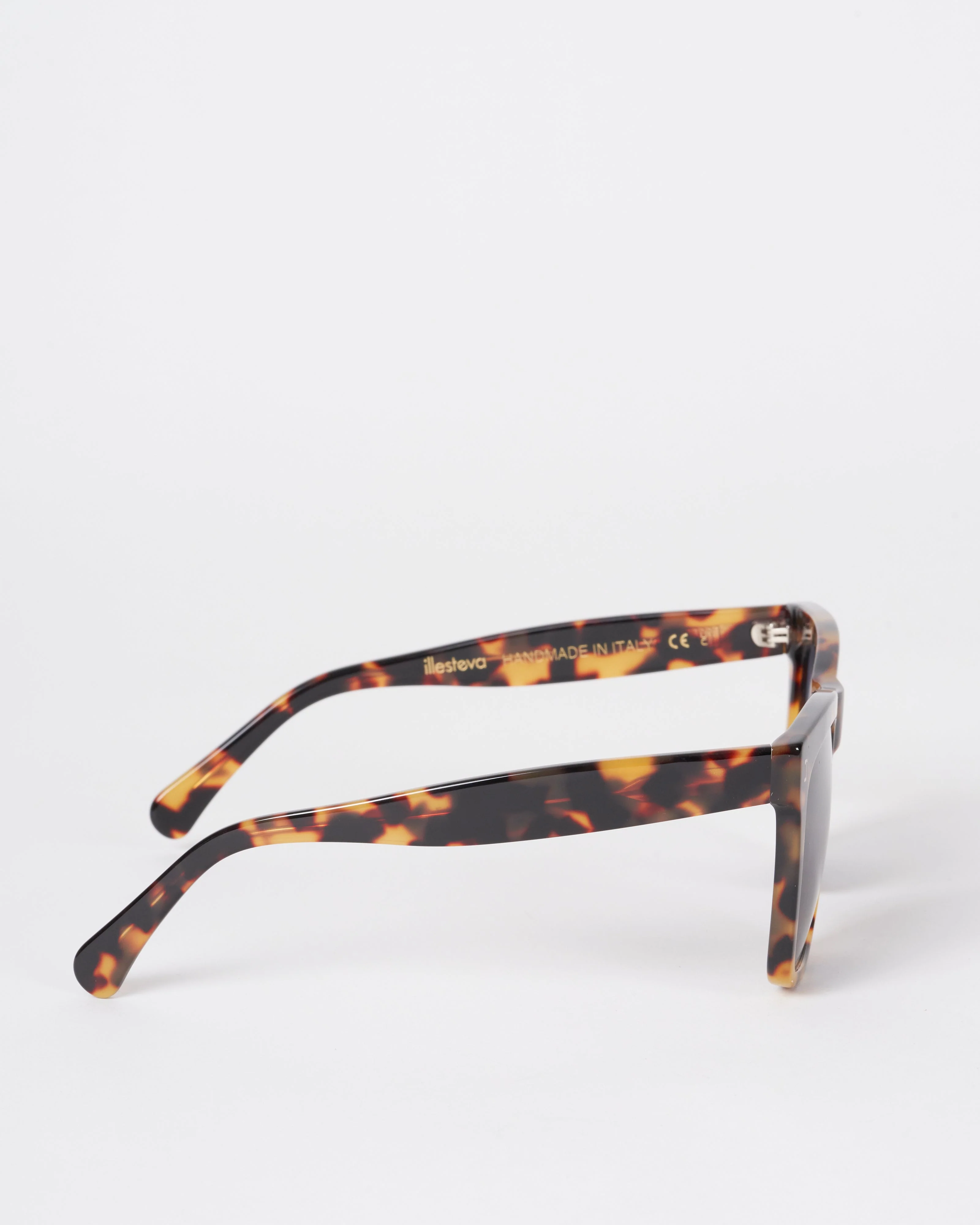 los feliz - tortoise - Image 2