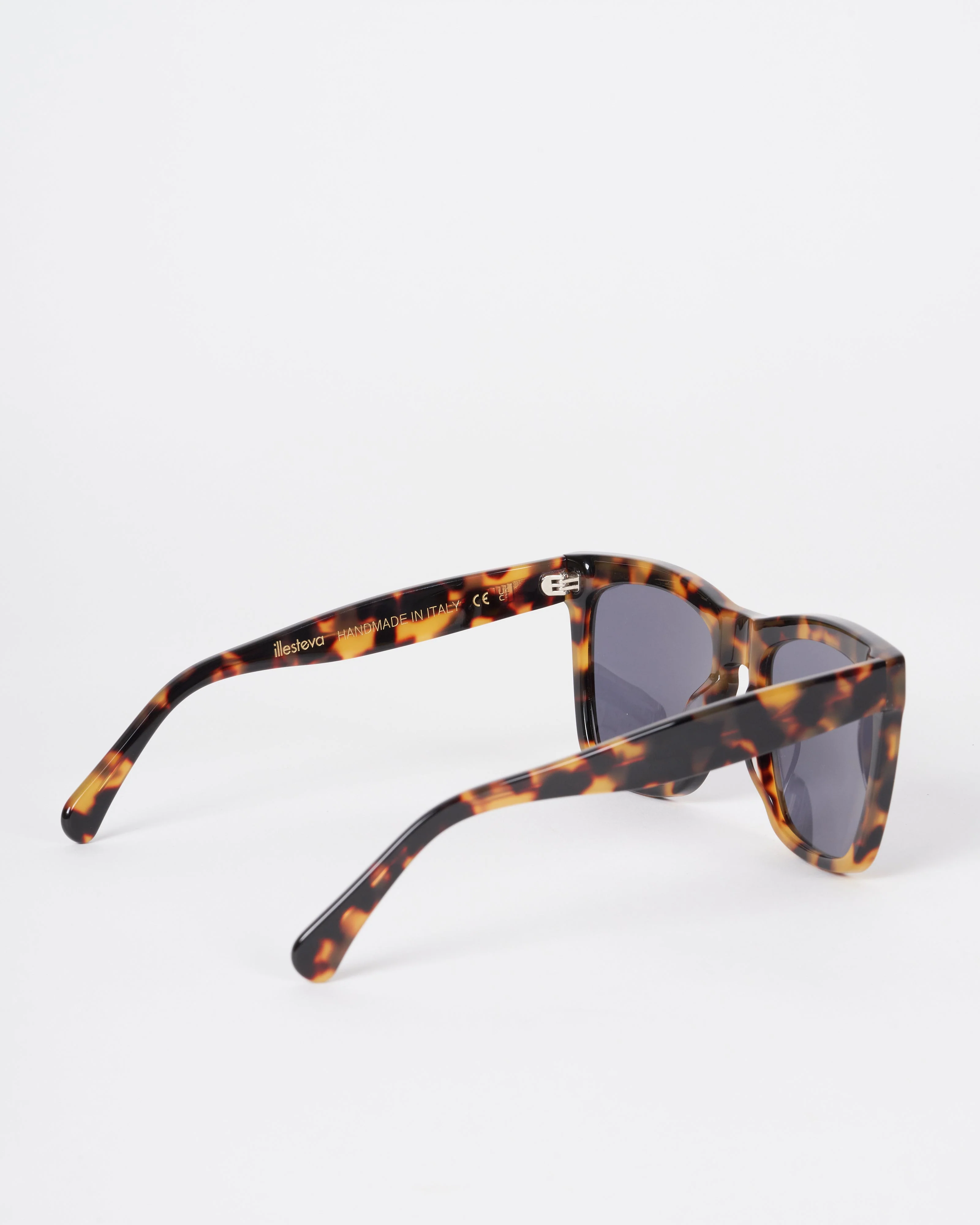 los feliz - tortoise - Image 3