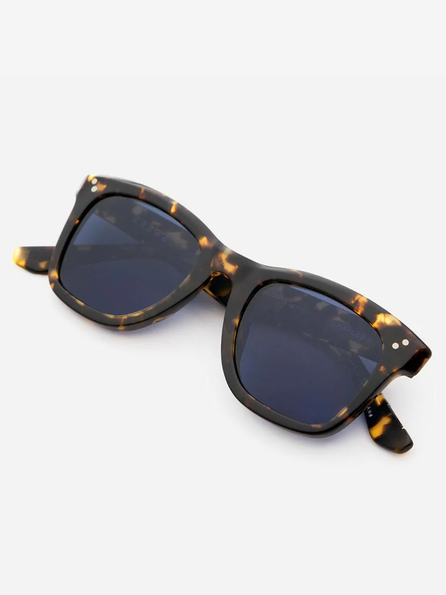 polarized charles II - bengal - Image 3