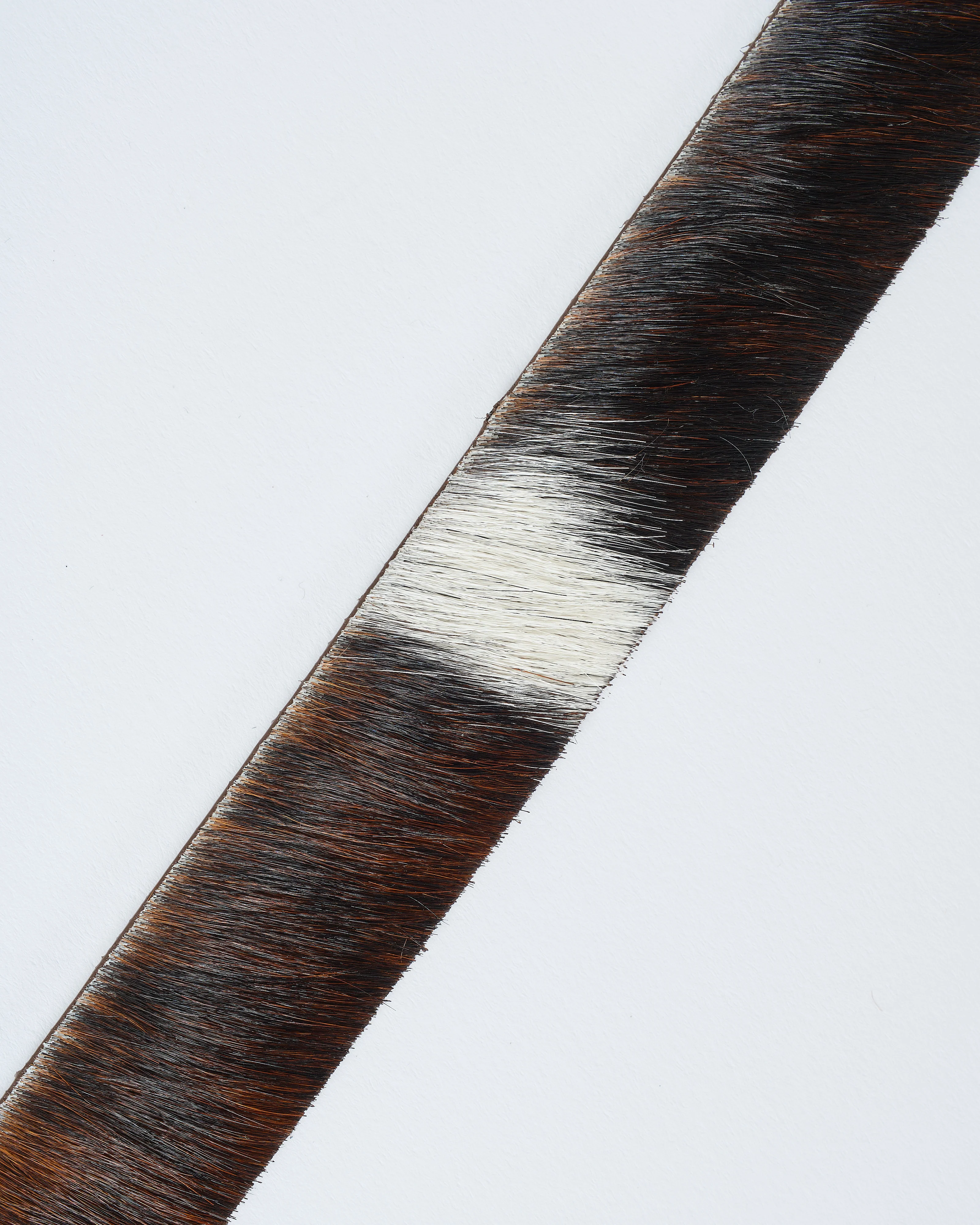 cow belt - Image 4