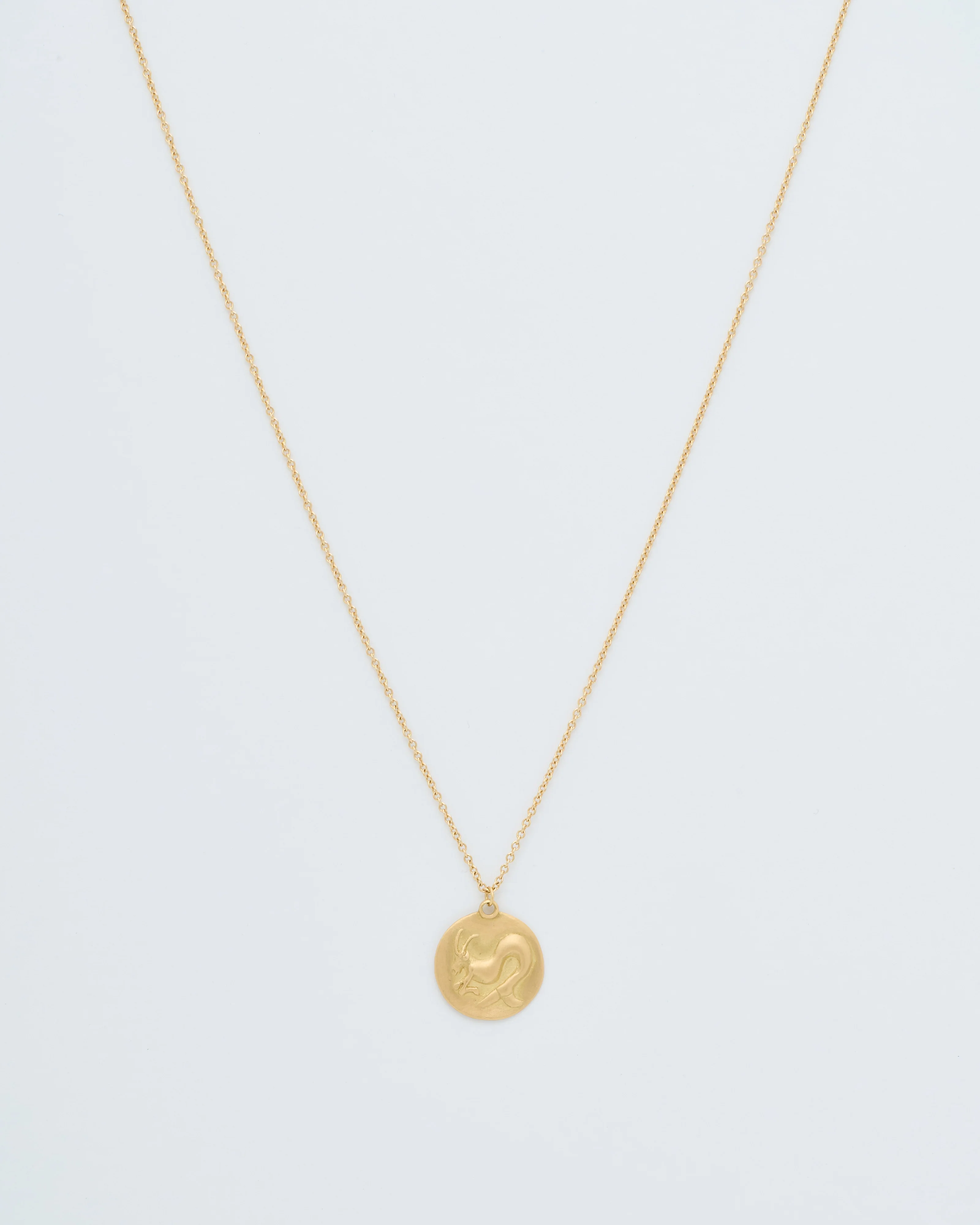capricorn disc necklace - Image 2