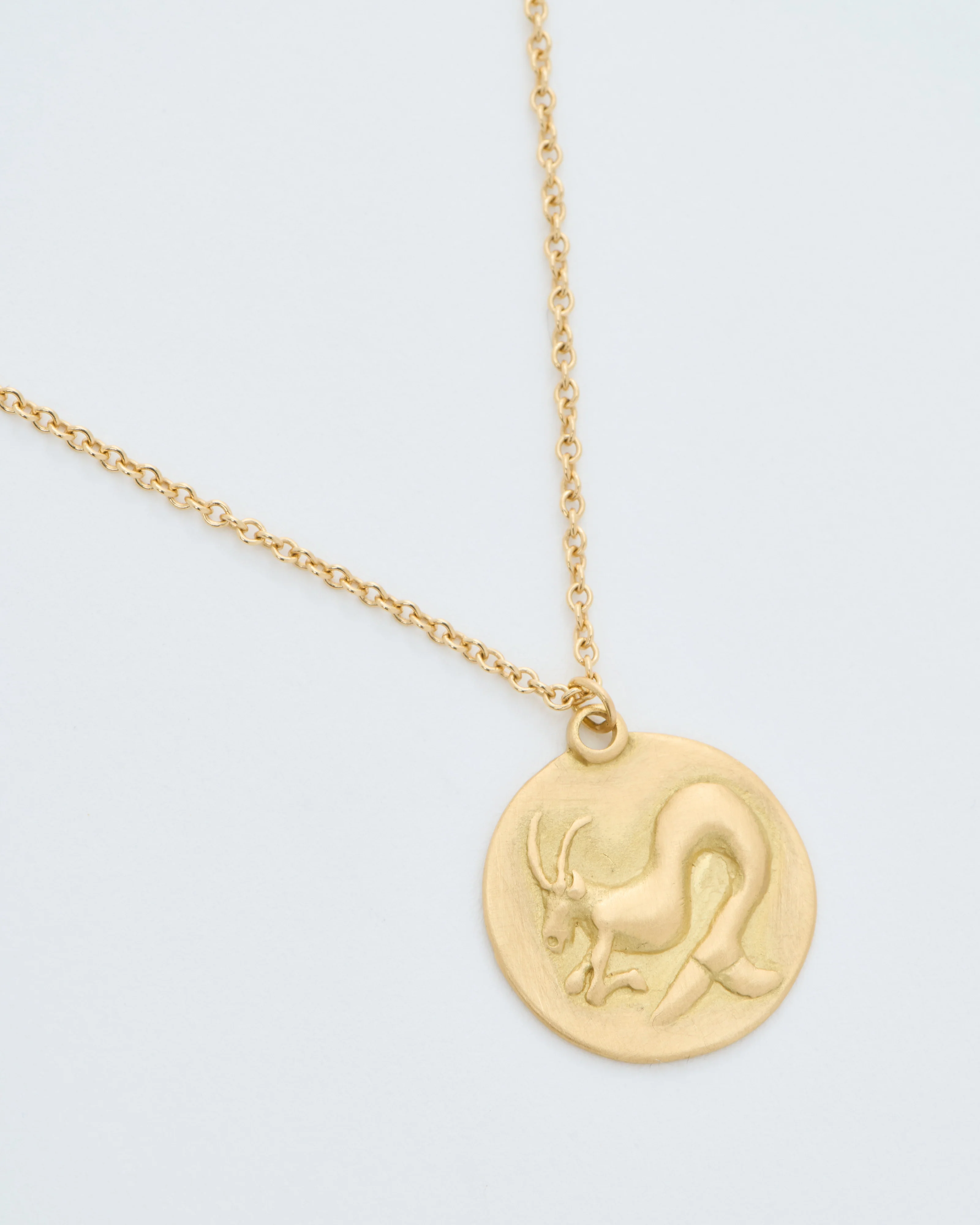 capricorn disc necklace - Image 3