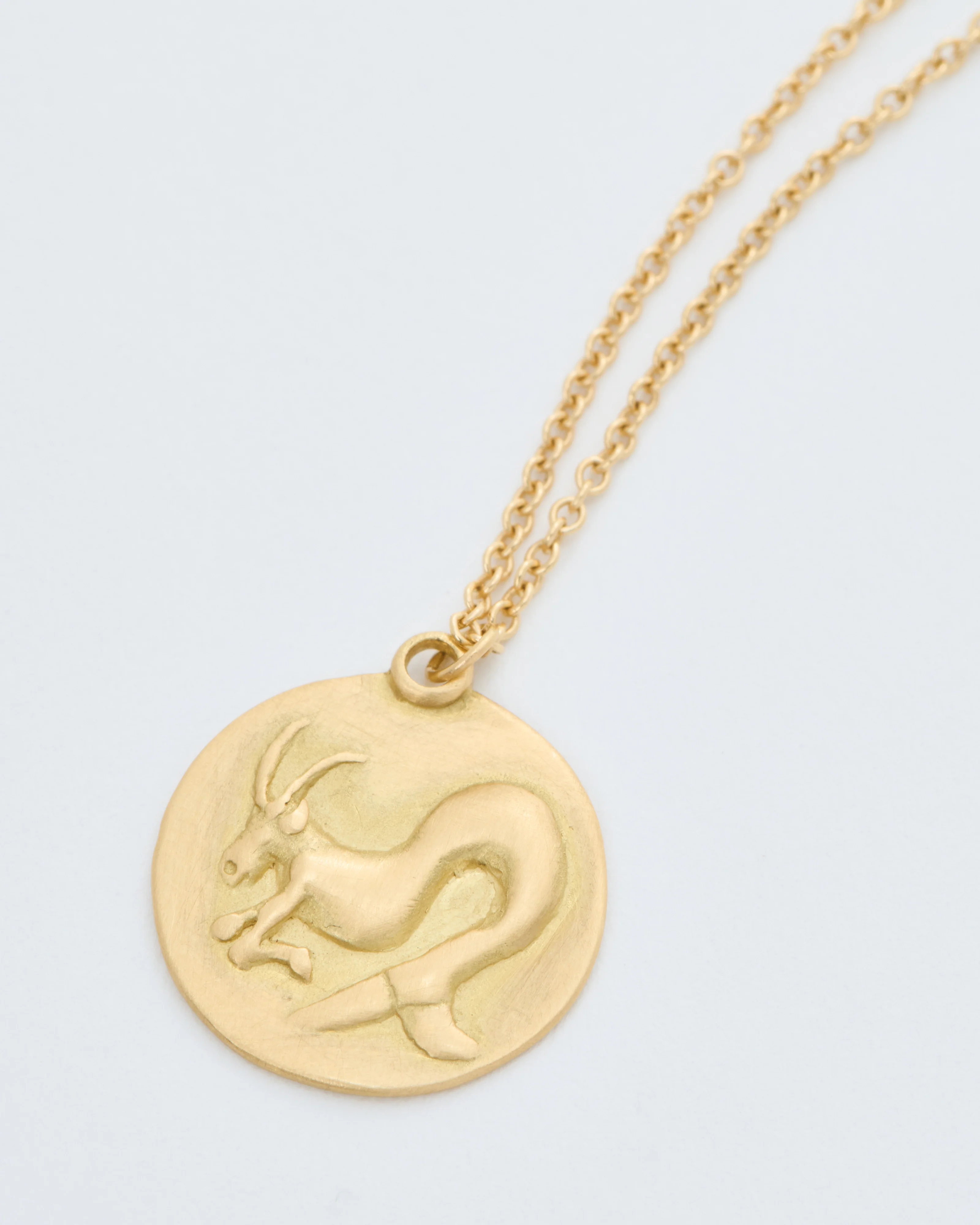 capricorn disc necklace - Image 4