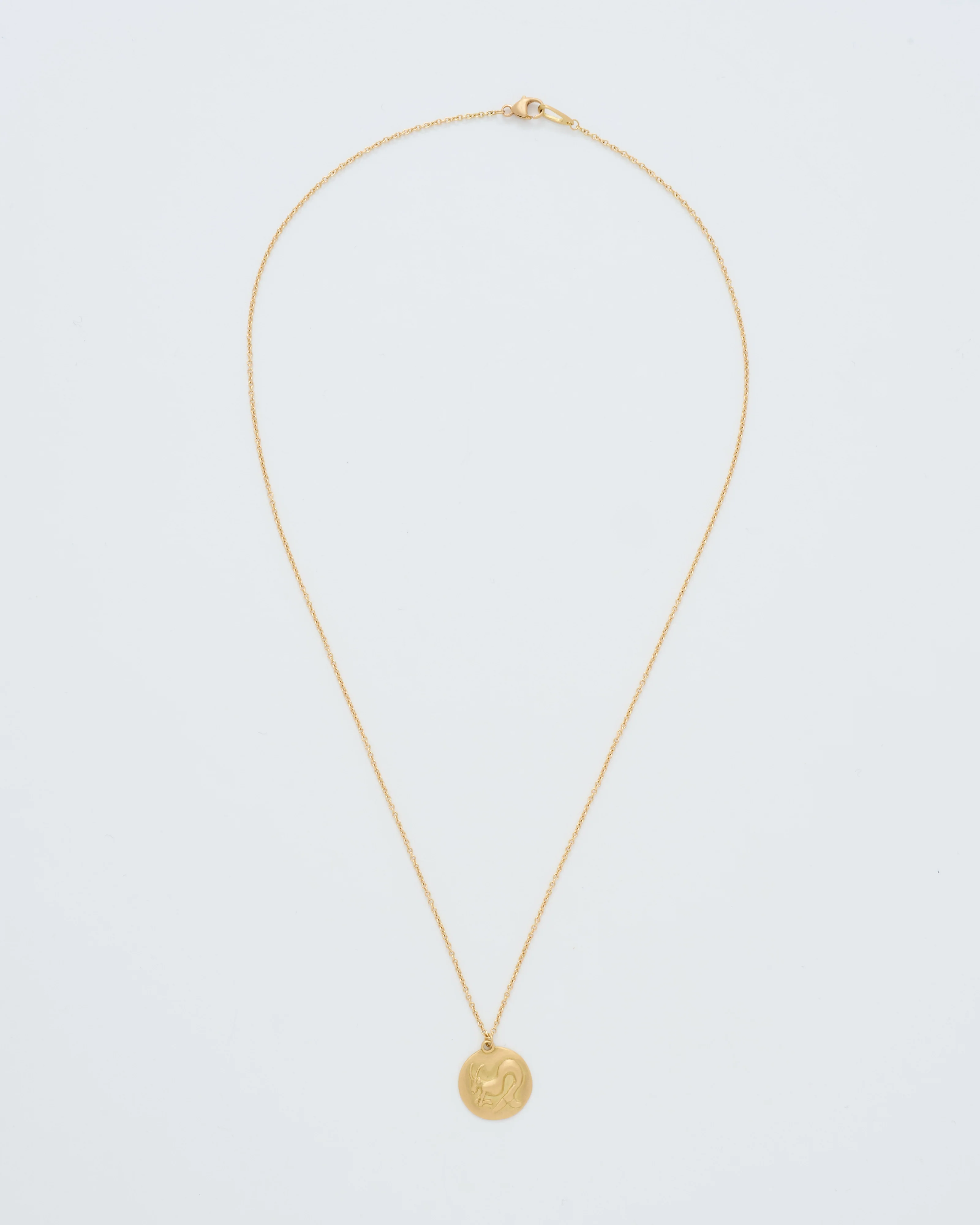 capricorn disc necklace - Image 7