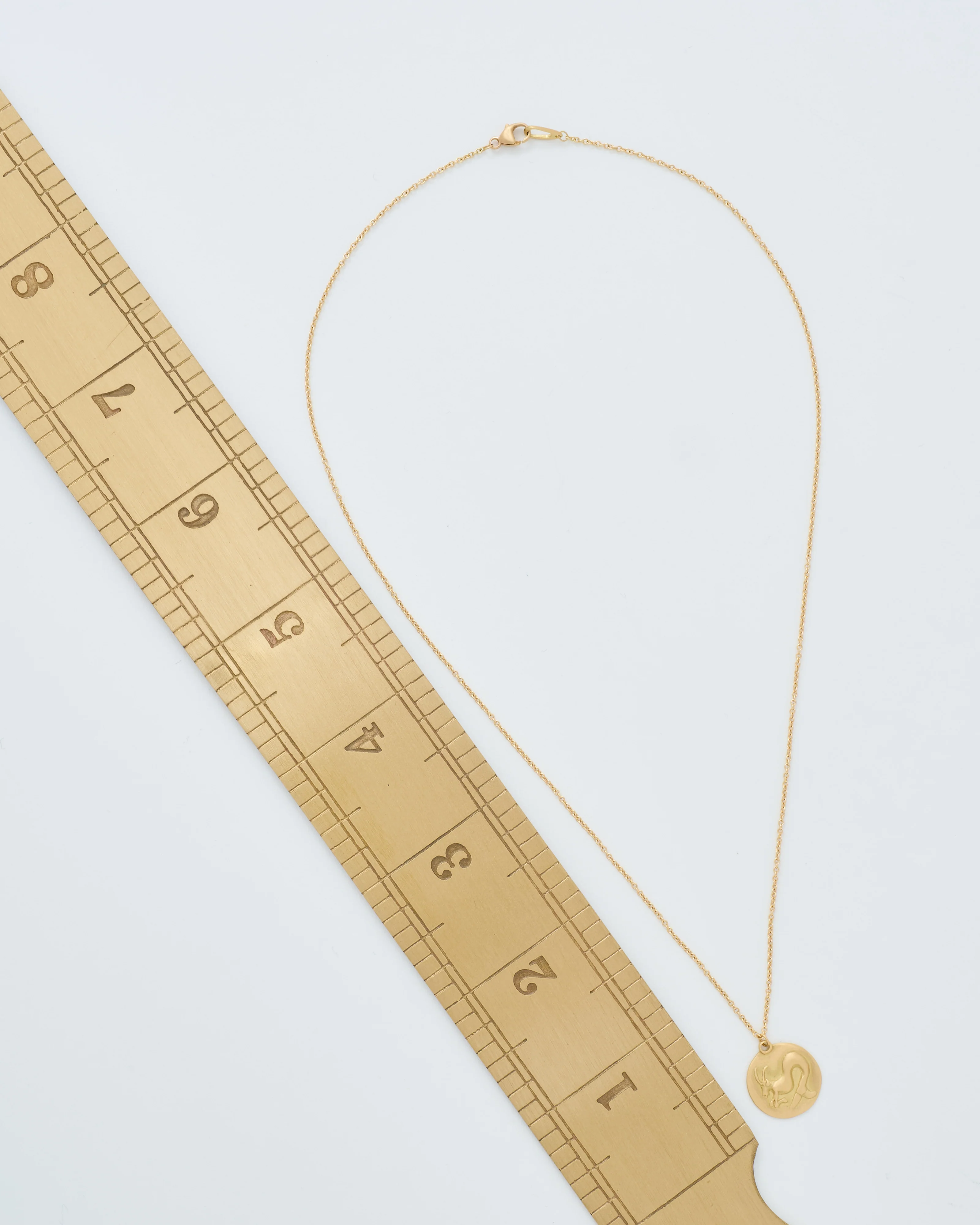 capricorn disc necklace - Image 8