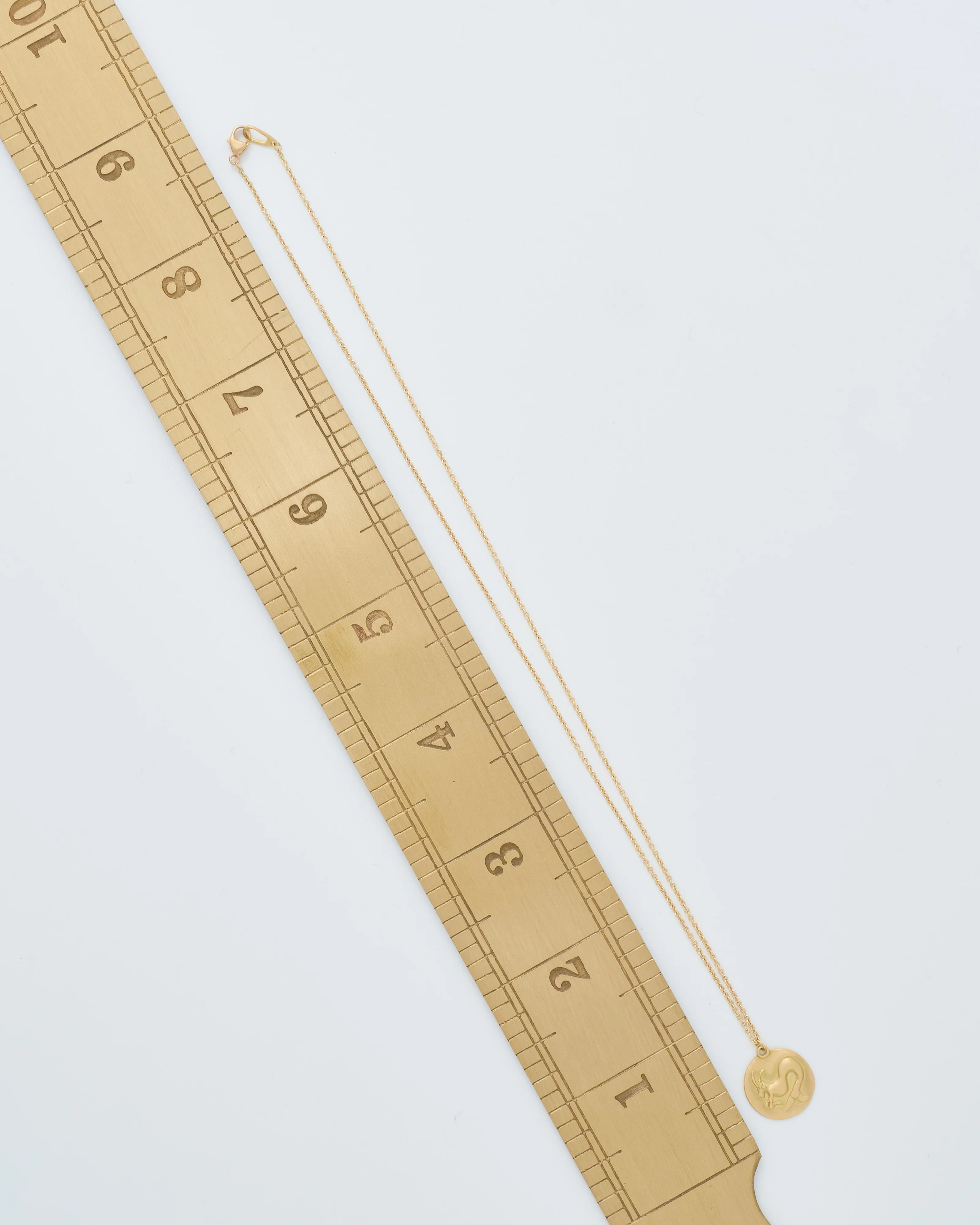 capricorn disc necklace - Image 9