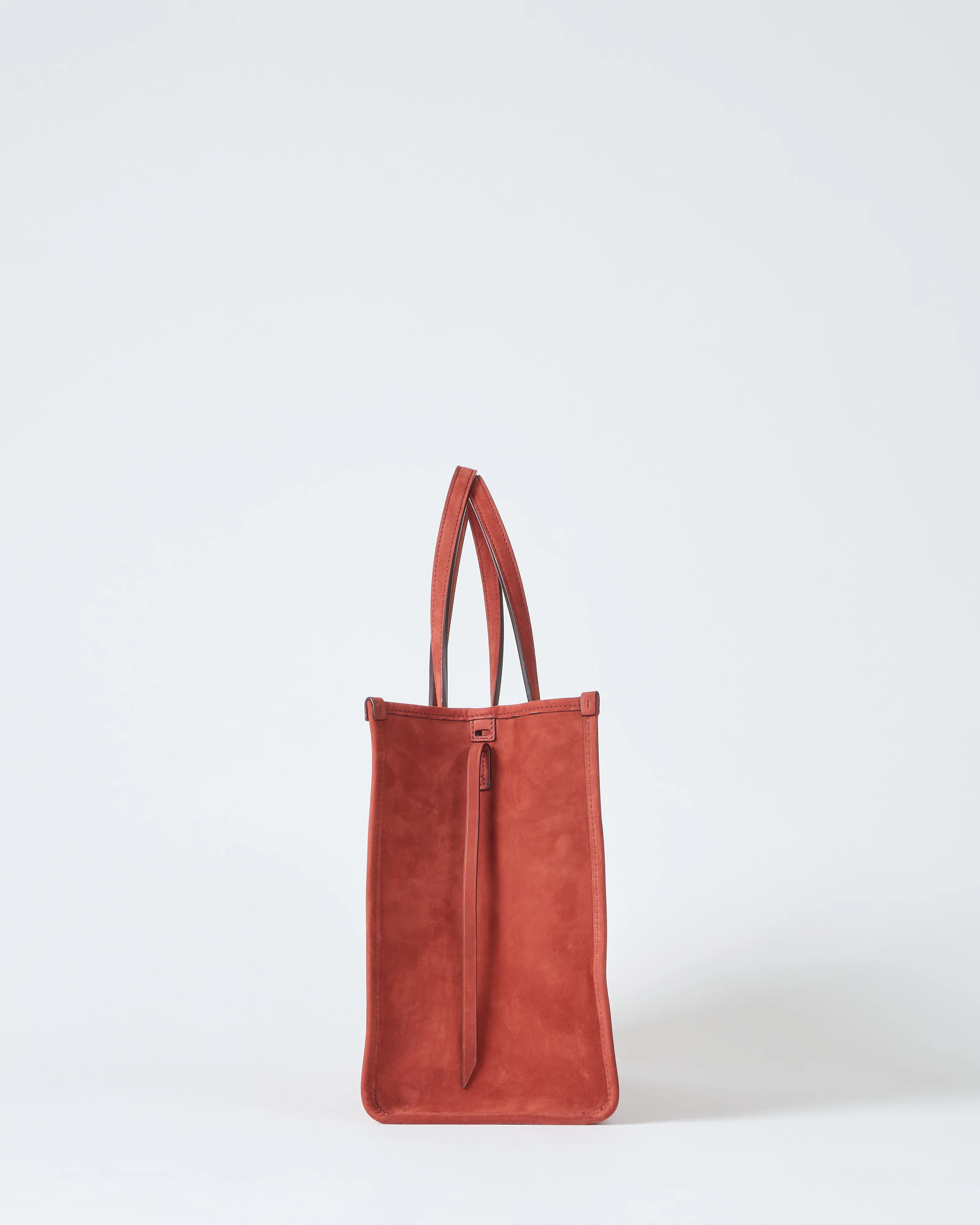 chameleon 34 - Image 5