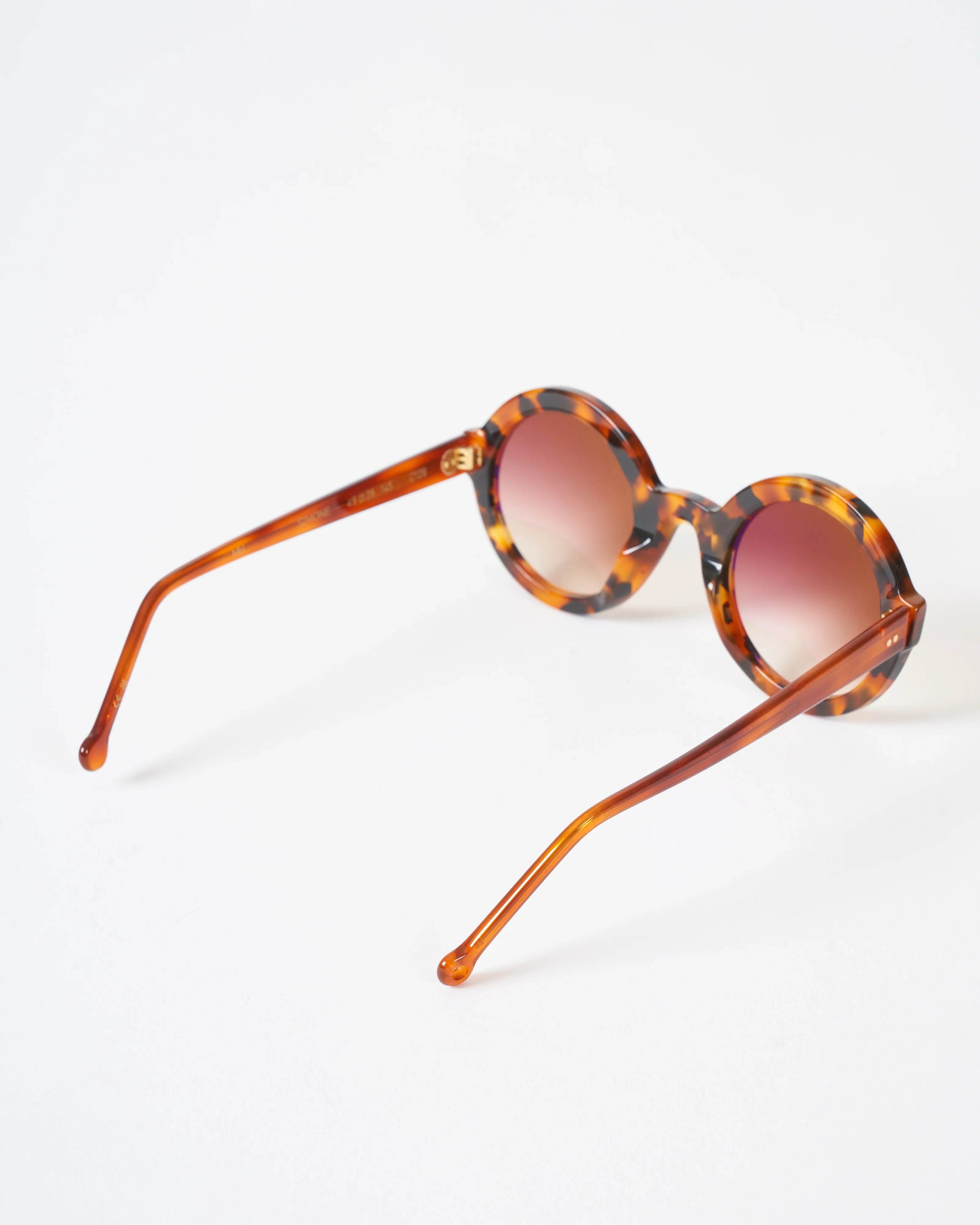 simone - tortoise - Image 3