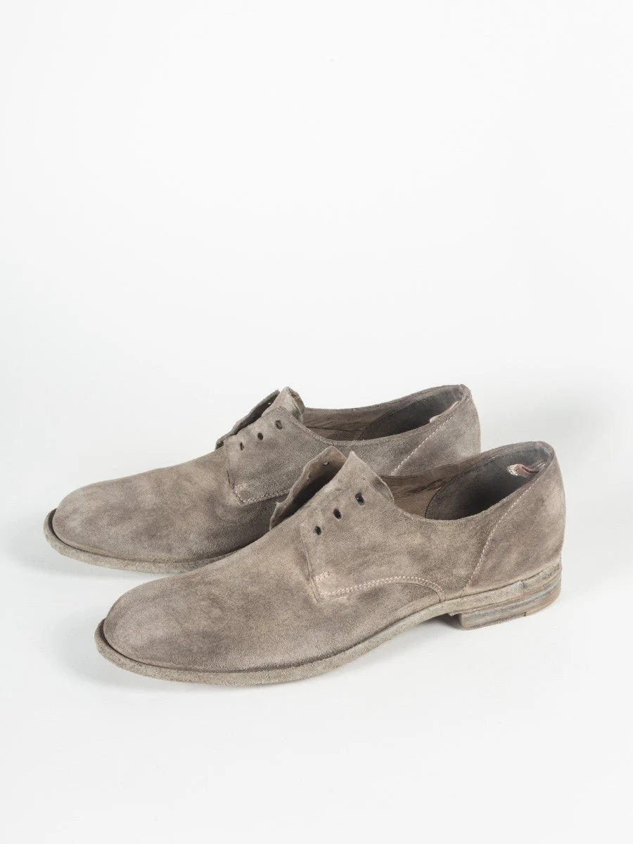 plaine oxford - Image 7