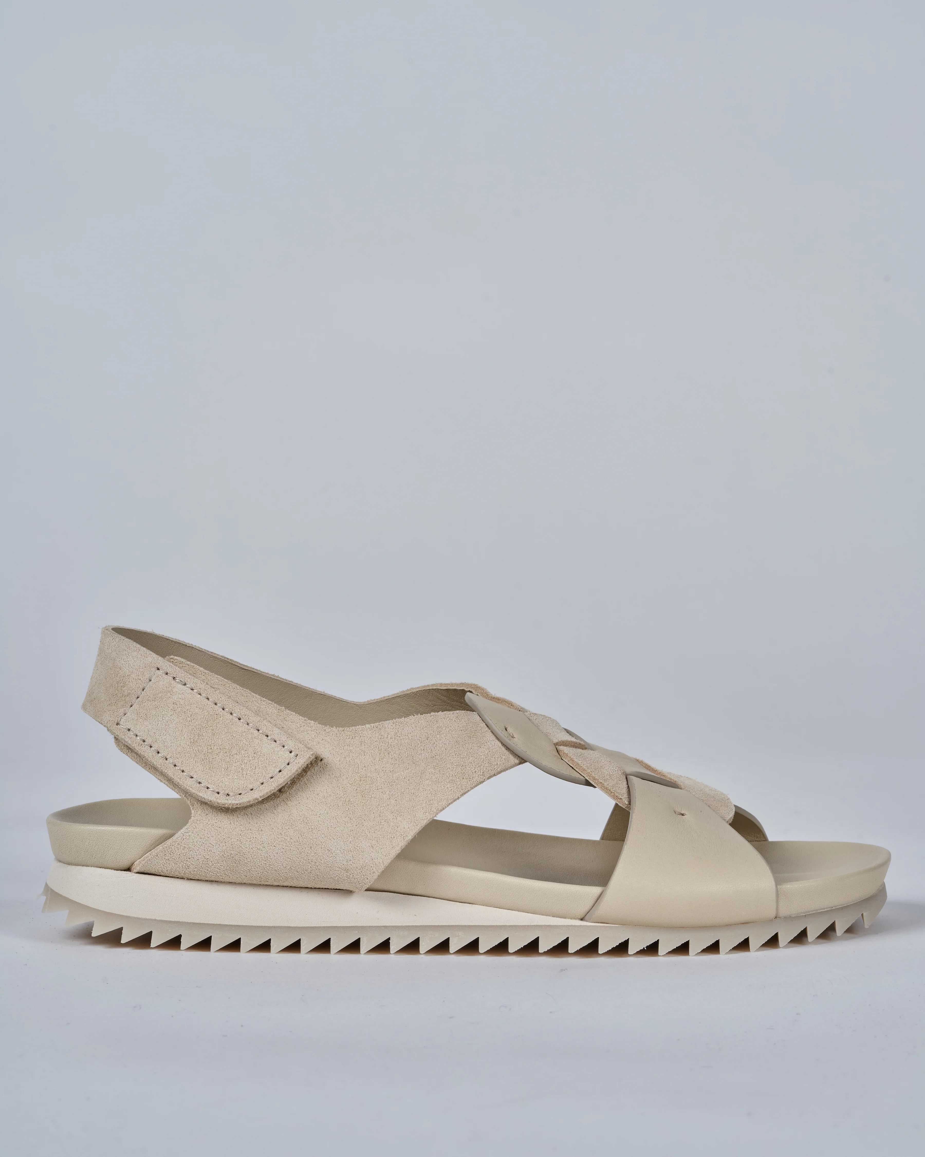 jonesia - angora castoro 02 - Image 3