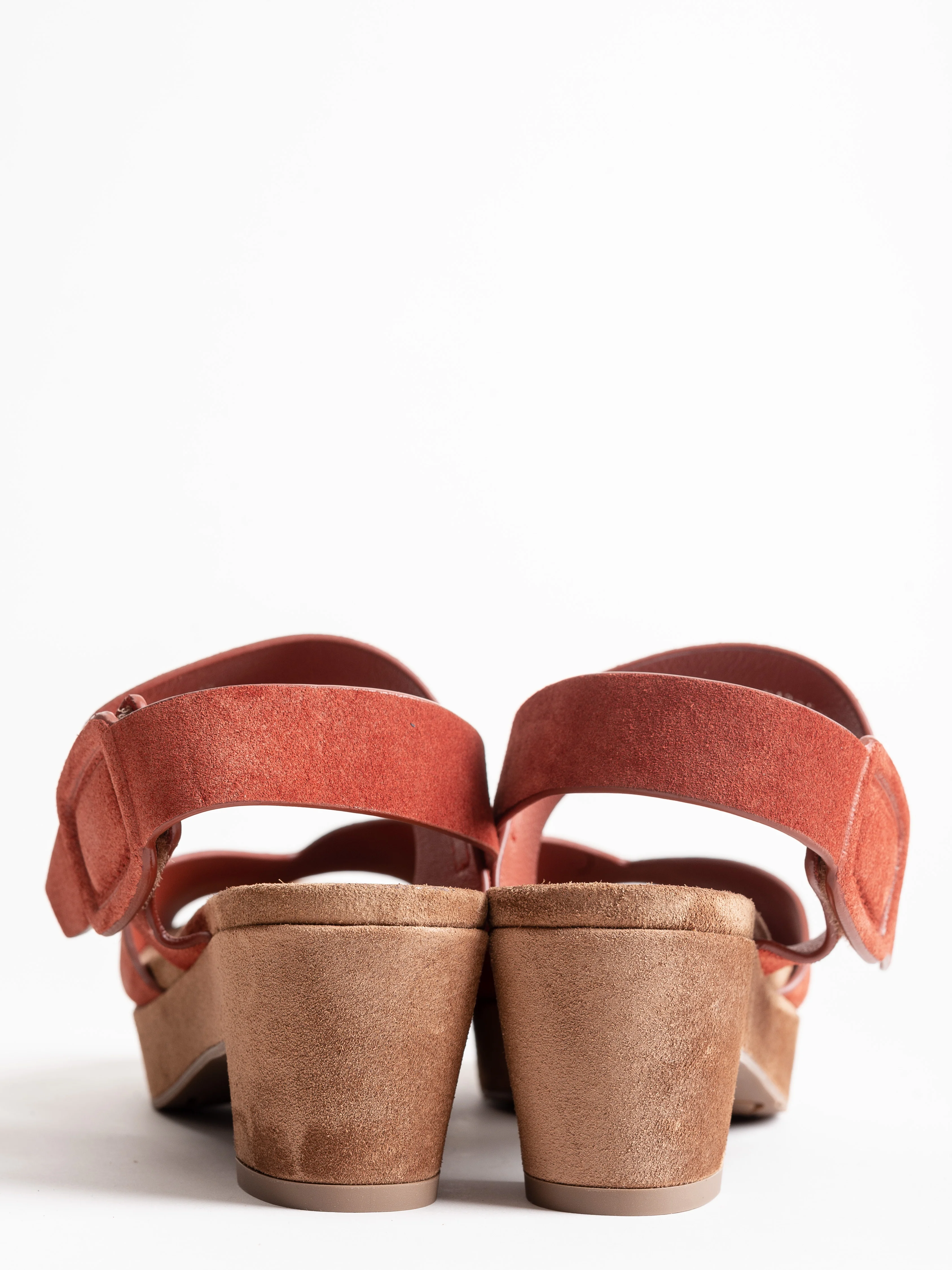 niurka wedge - harissa castoro - Image 5