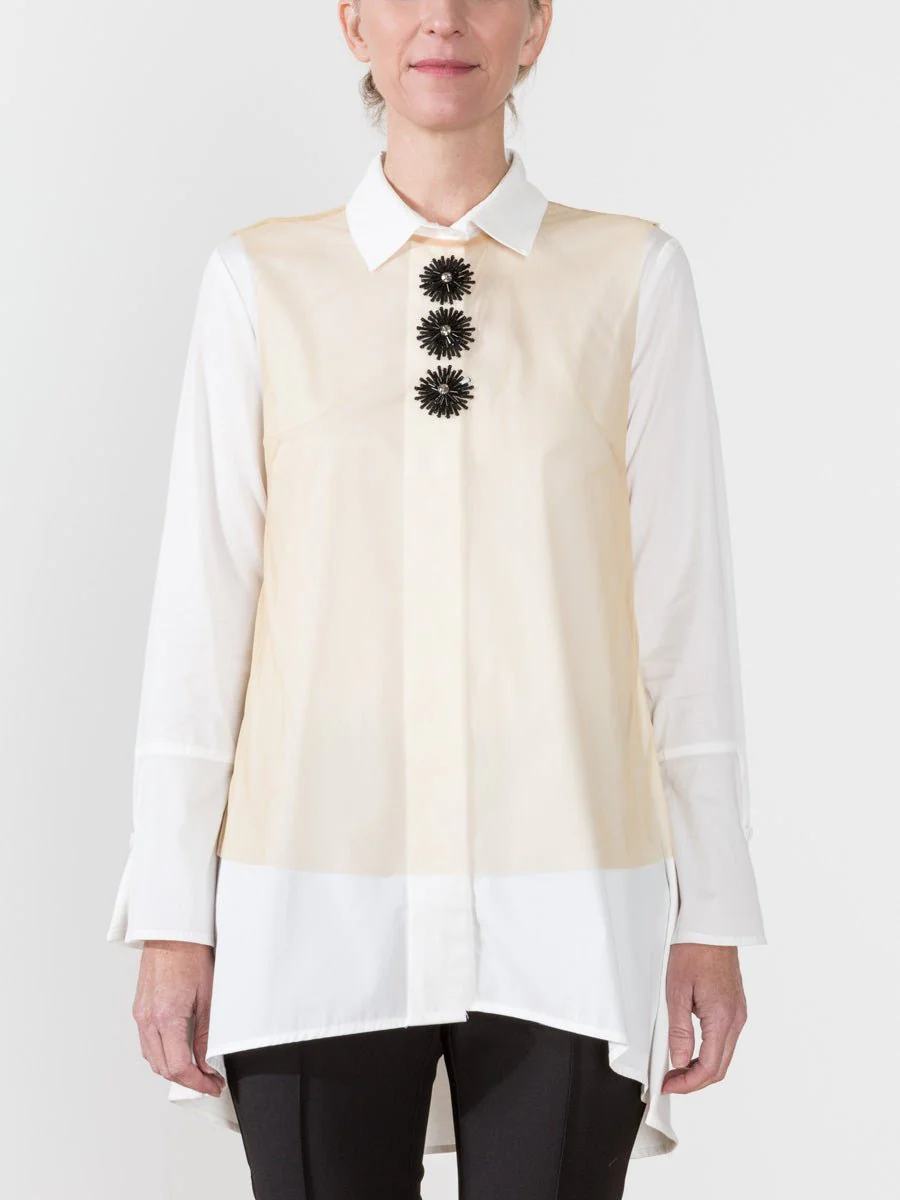 cusp shell - Image 3