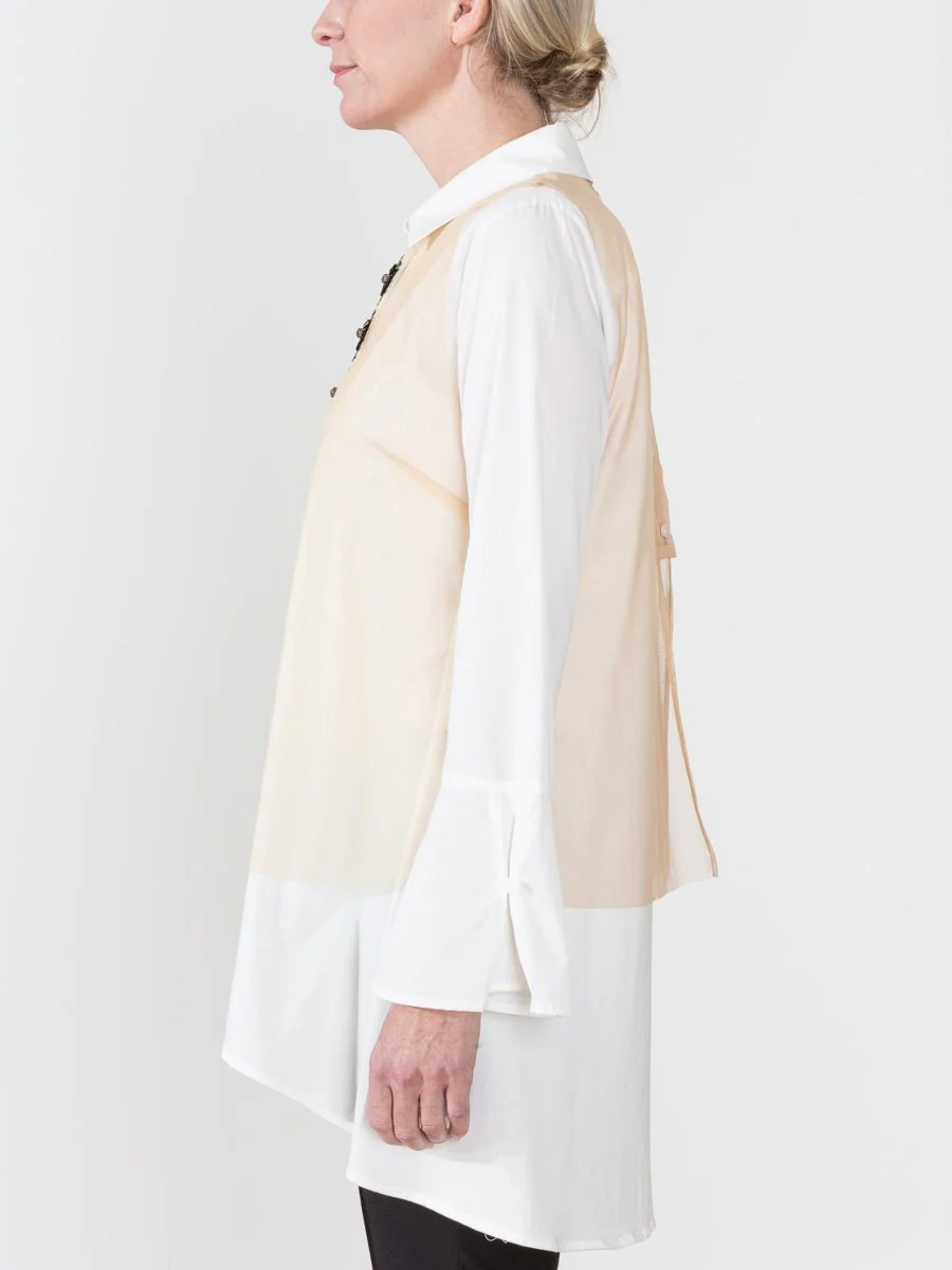 cusp shell - Image 4
