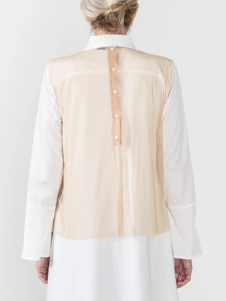 cusp shell - Image 5