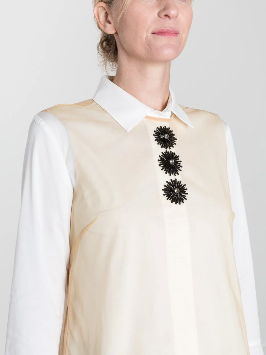 cusp shell - Image 6