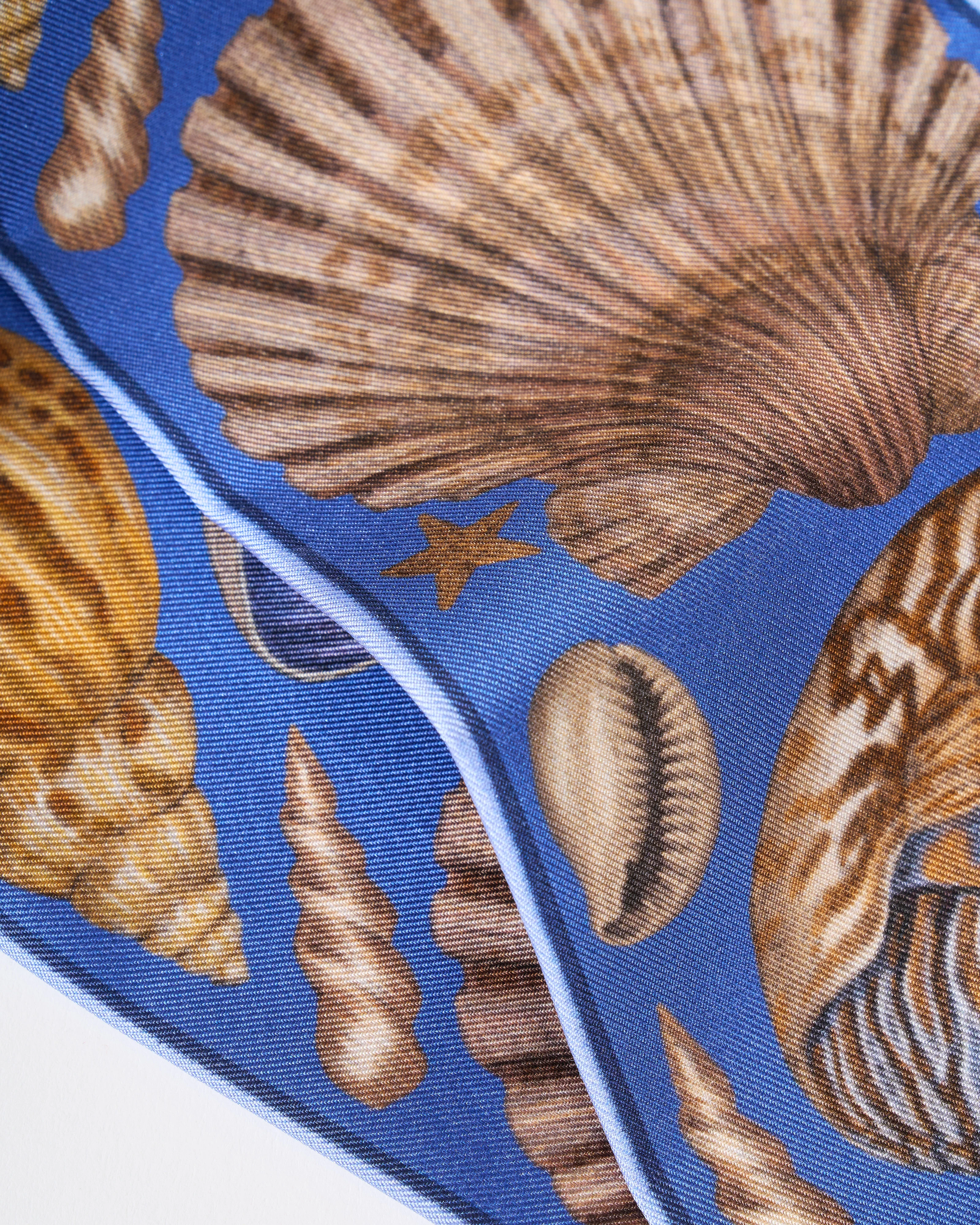 dancing delphinus large ribbon - Image 3