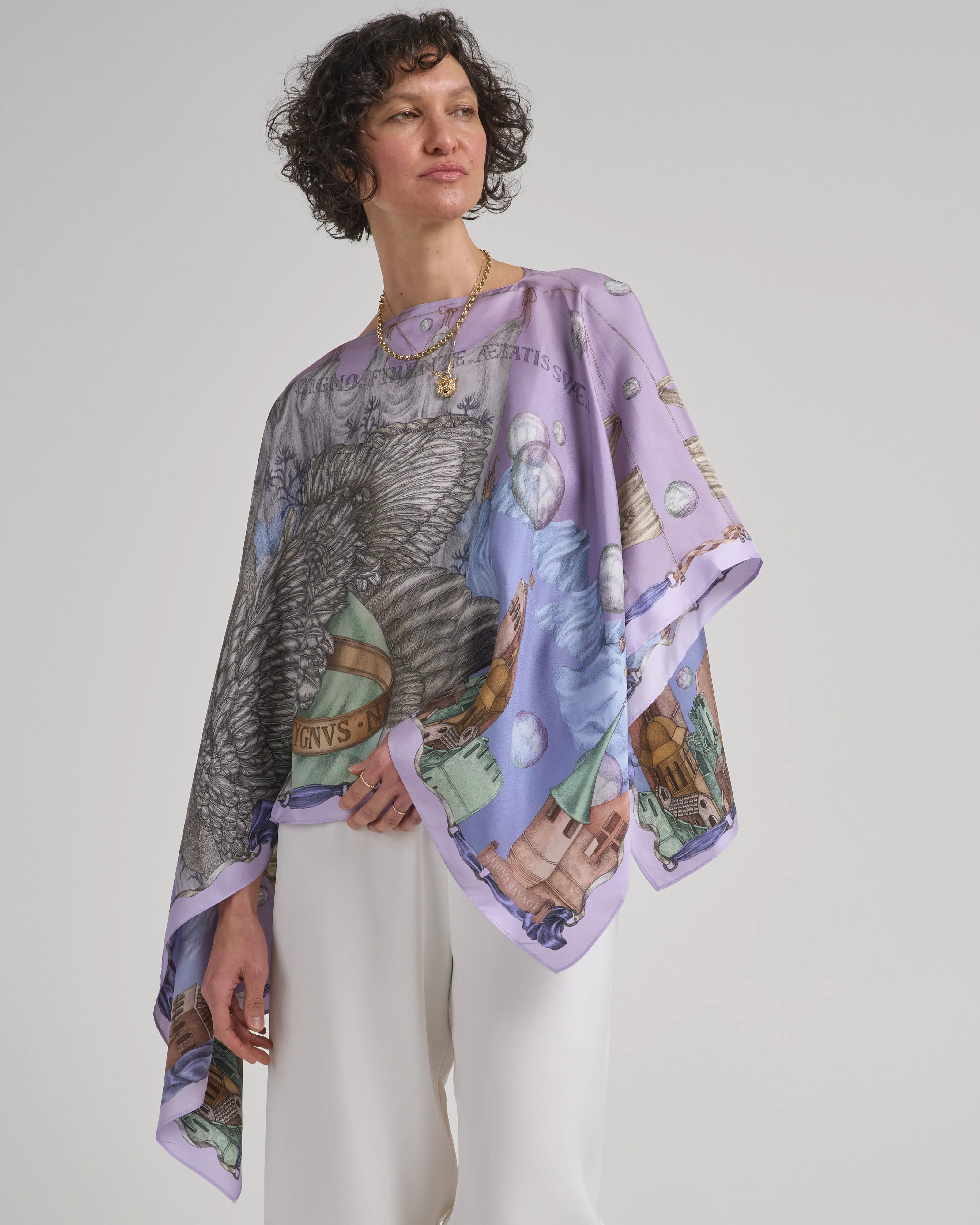 the glass swan slipover top - Image 2