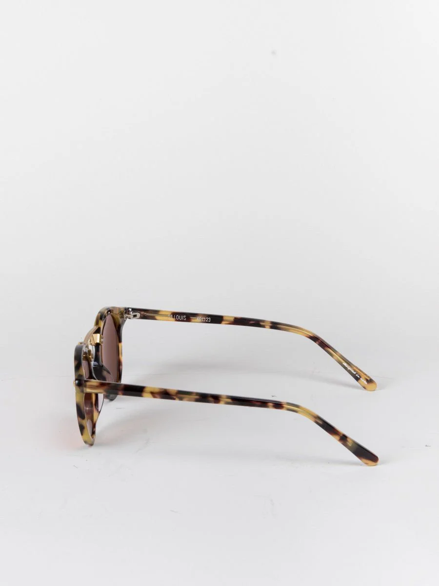 st. louis ‰ÛÒ audubon - Image 3