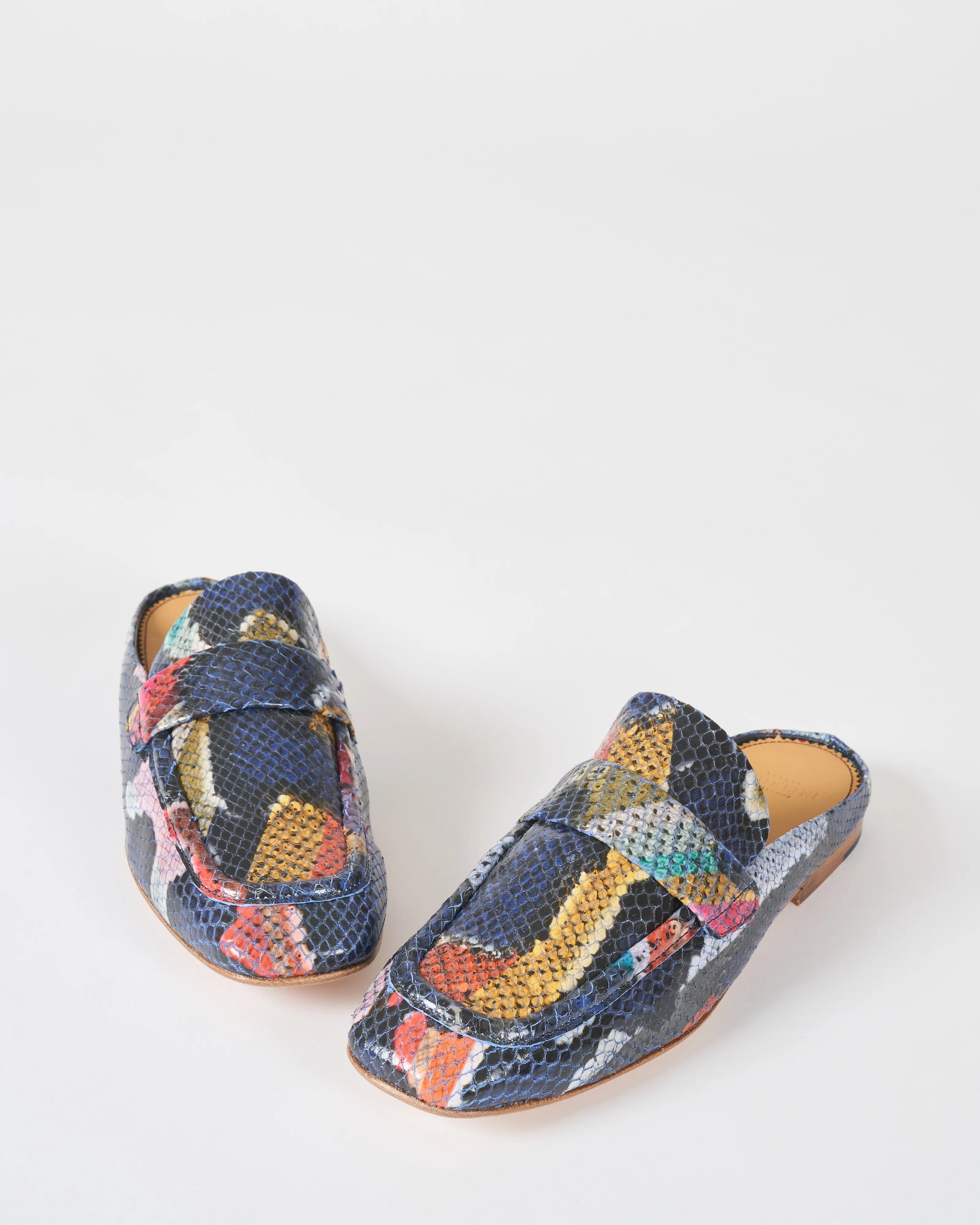 pitone mule - Image 4