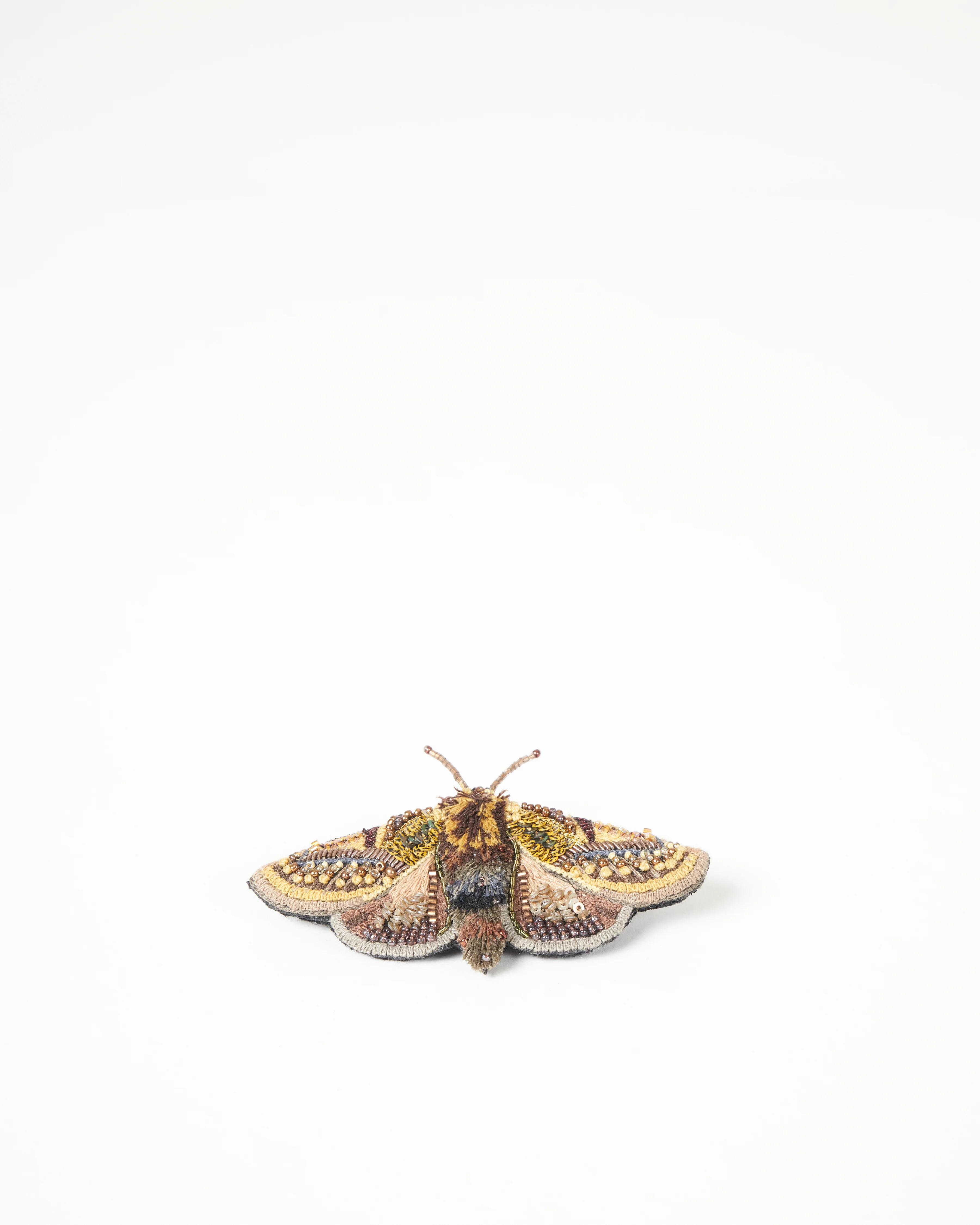 gold moth - Image 2