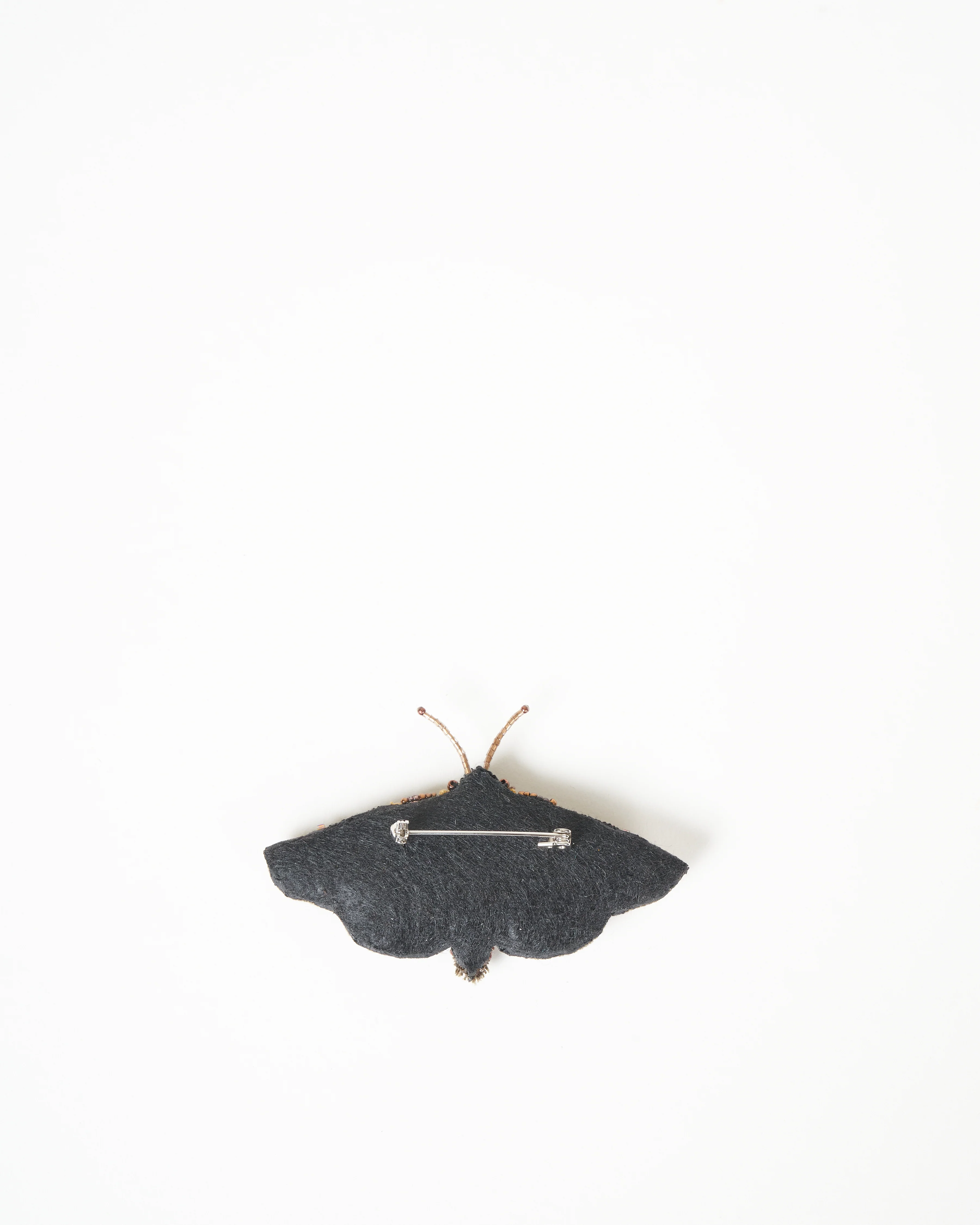 gold moth - Image 3