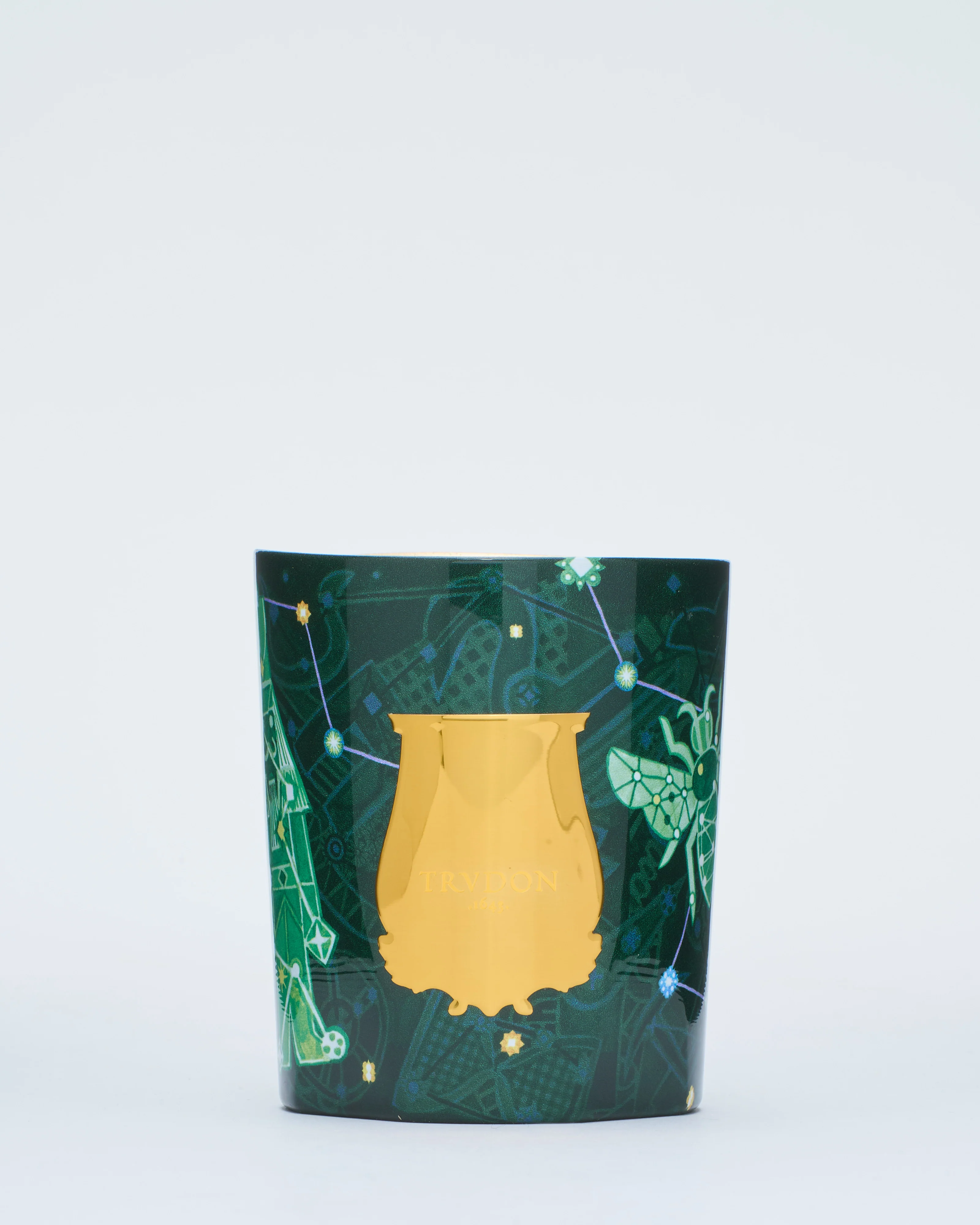 fir - Image 6