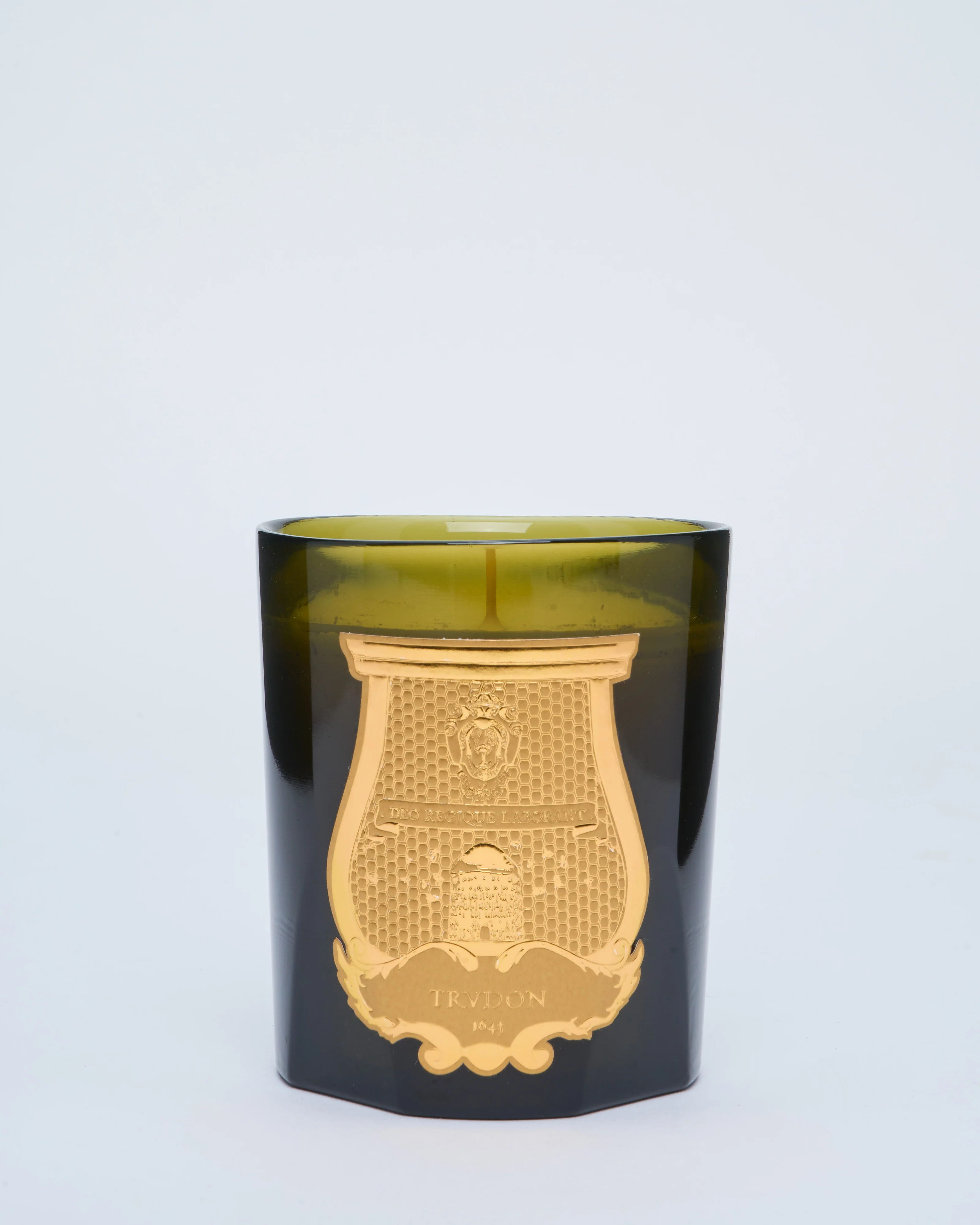 ernesto - Image 3