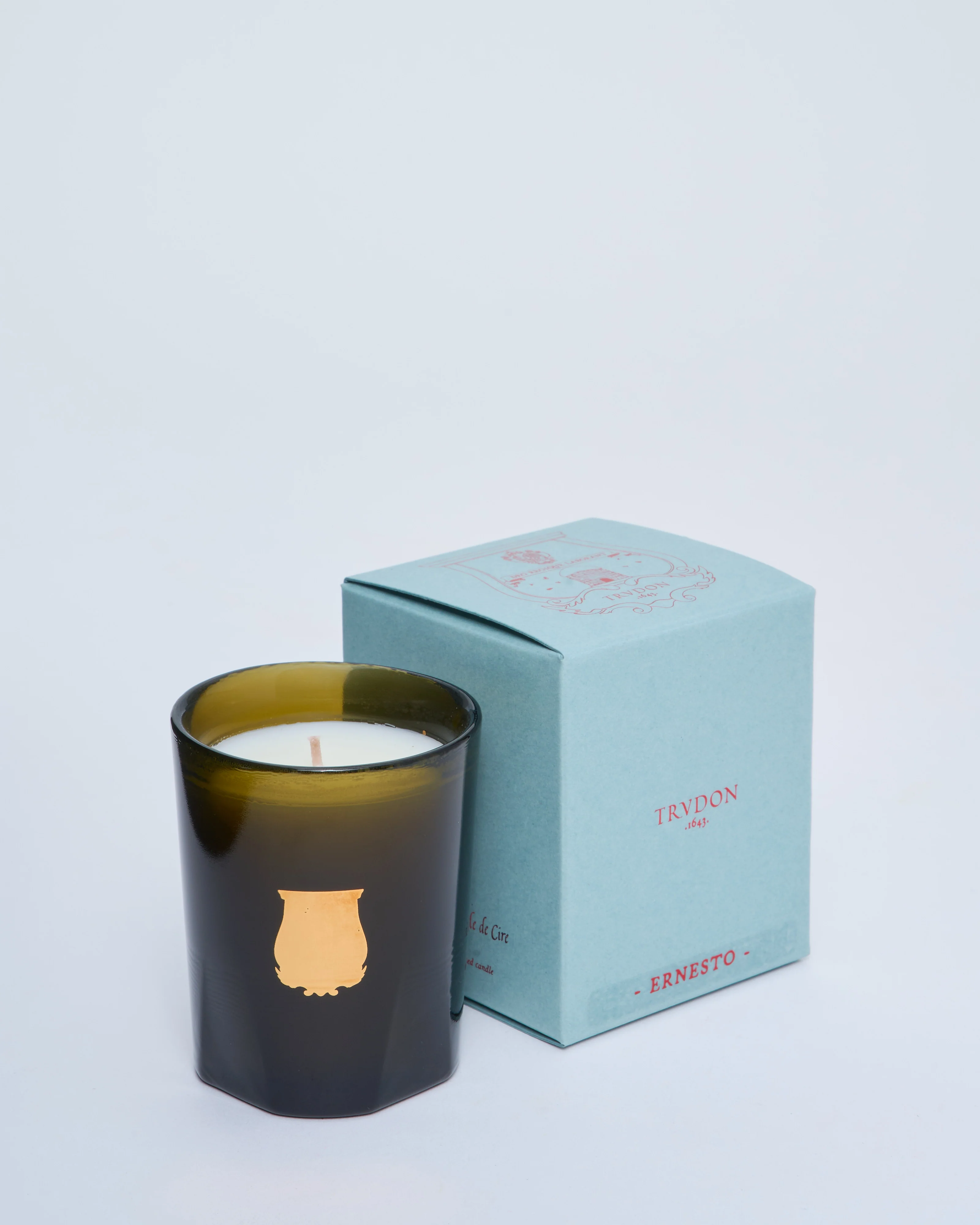 ernesto - Image 5