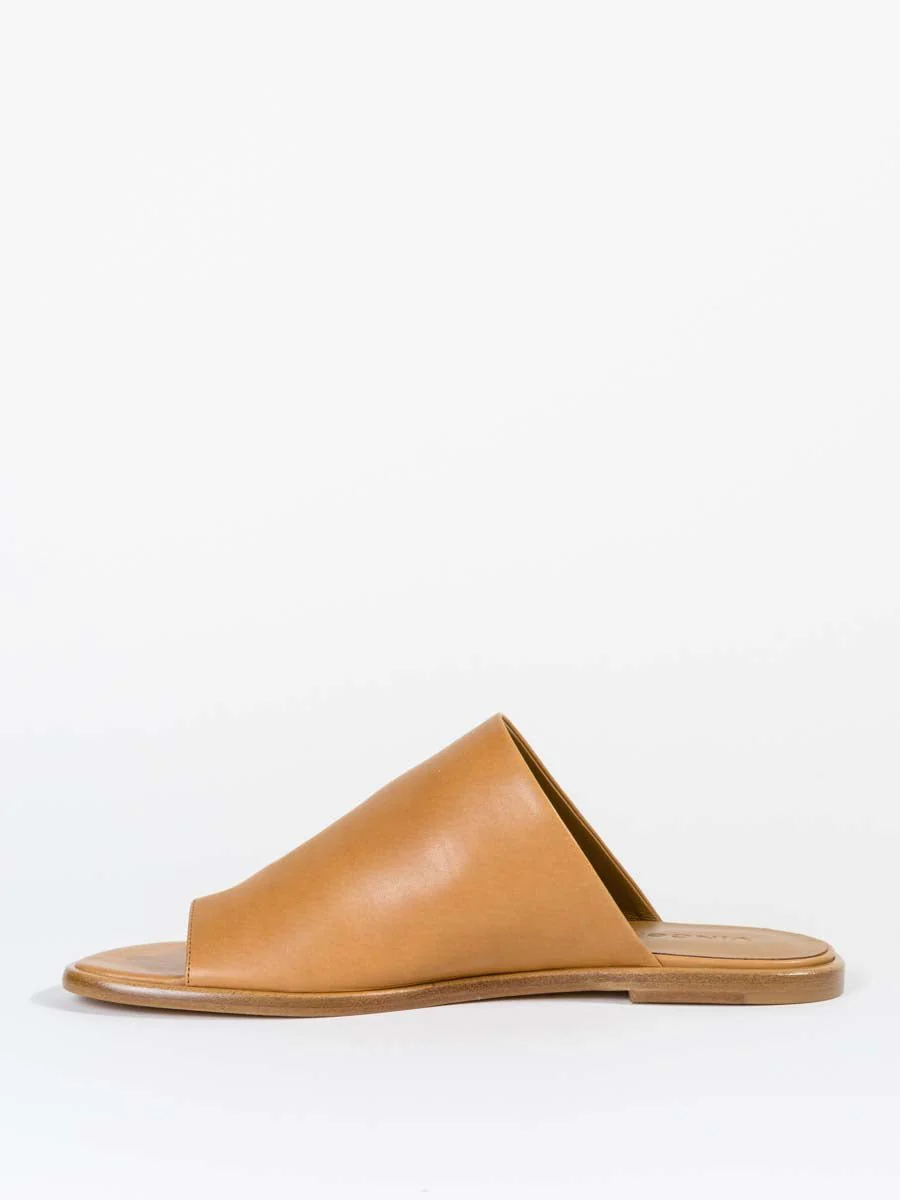 edris - wheat - Image 2