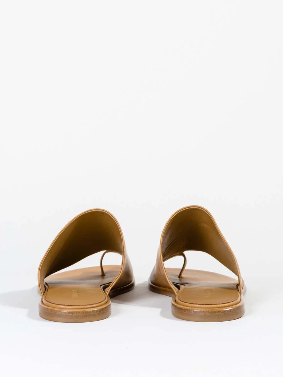 edris - wheat - Image 4