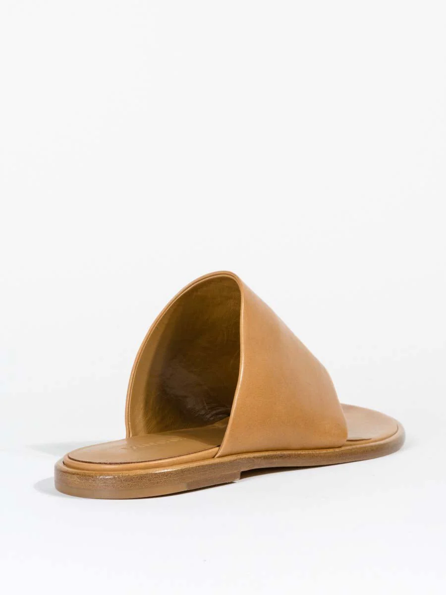 edris - wheat - Image 5
