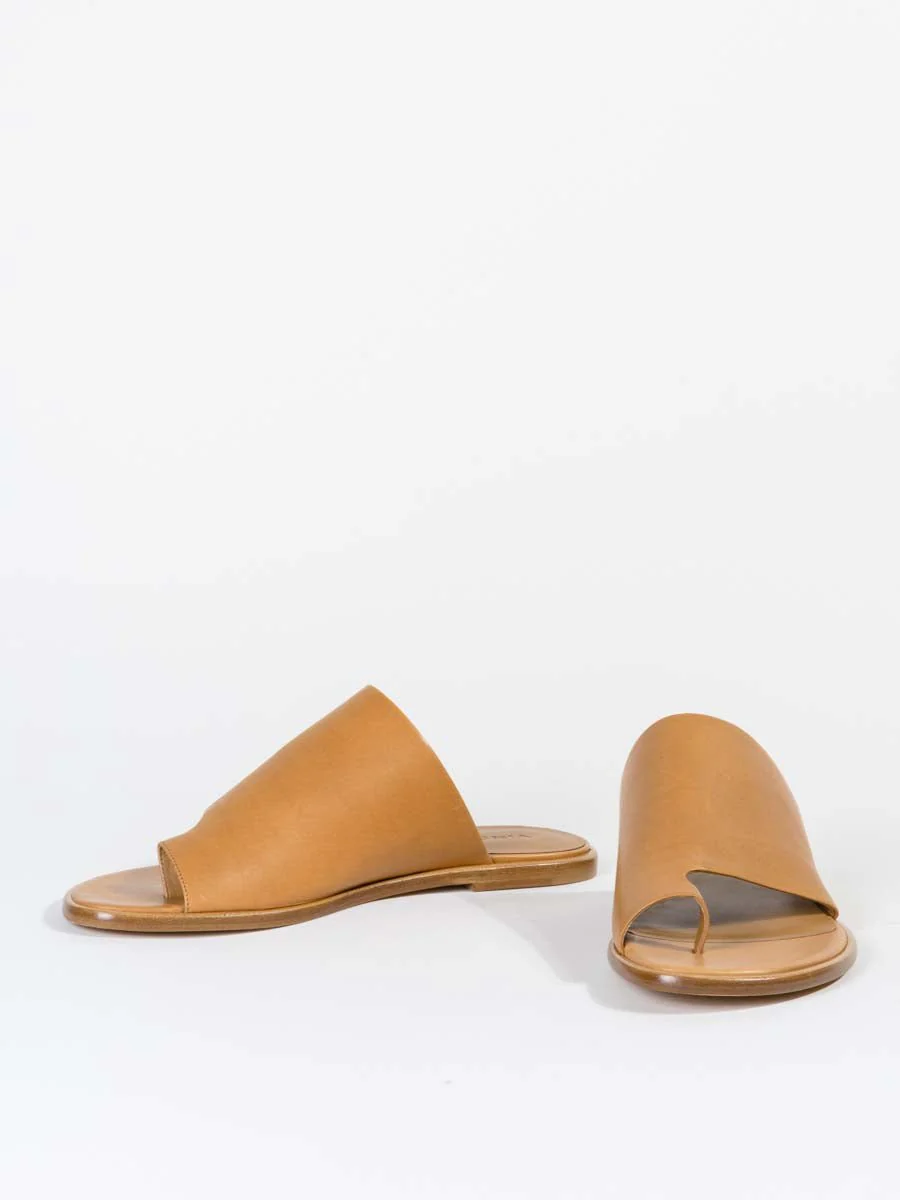 edris - wheat - Image 6