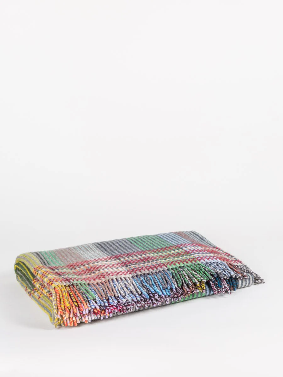 small newton throw - blue multi